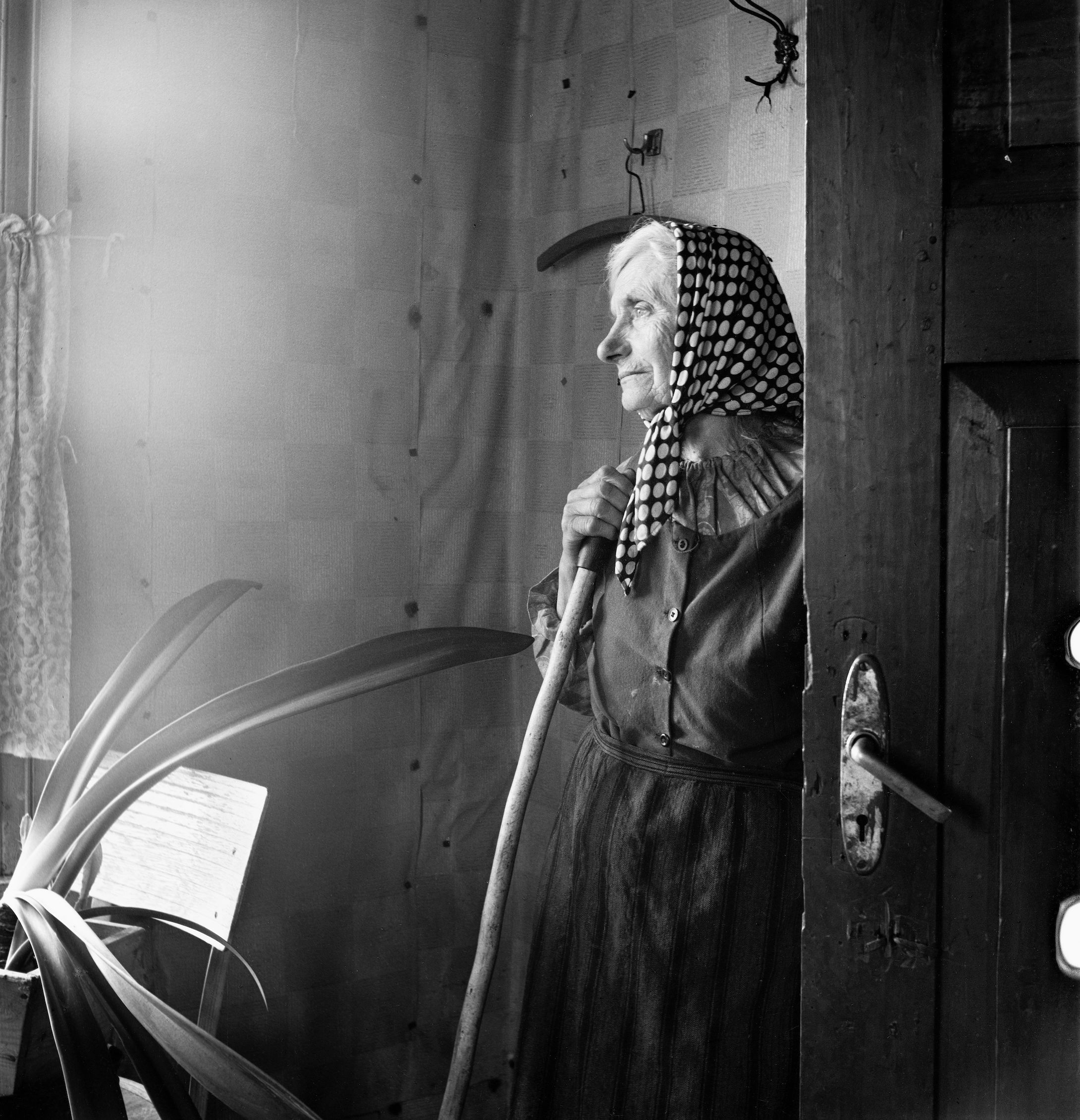 Ausstellung in Tallinn: Inta Ruka „Orte namens Zuhause“