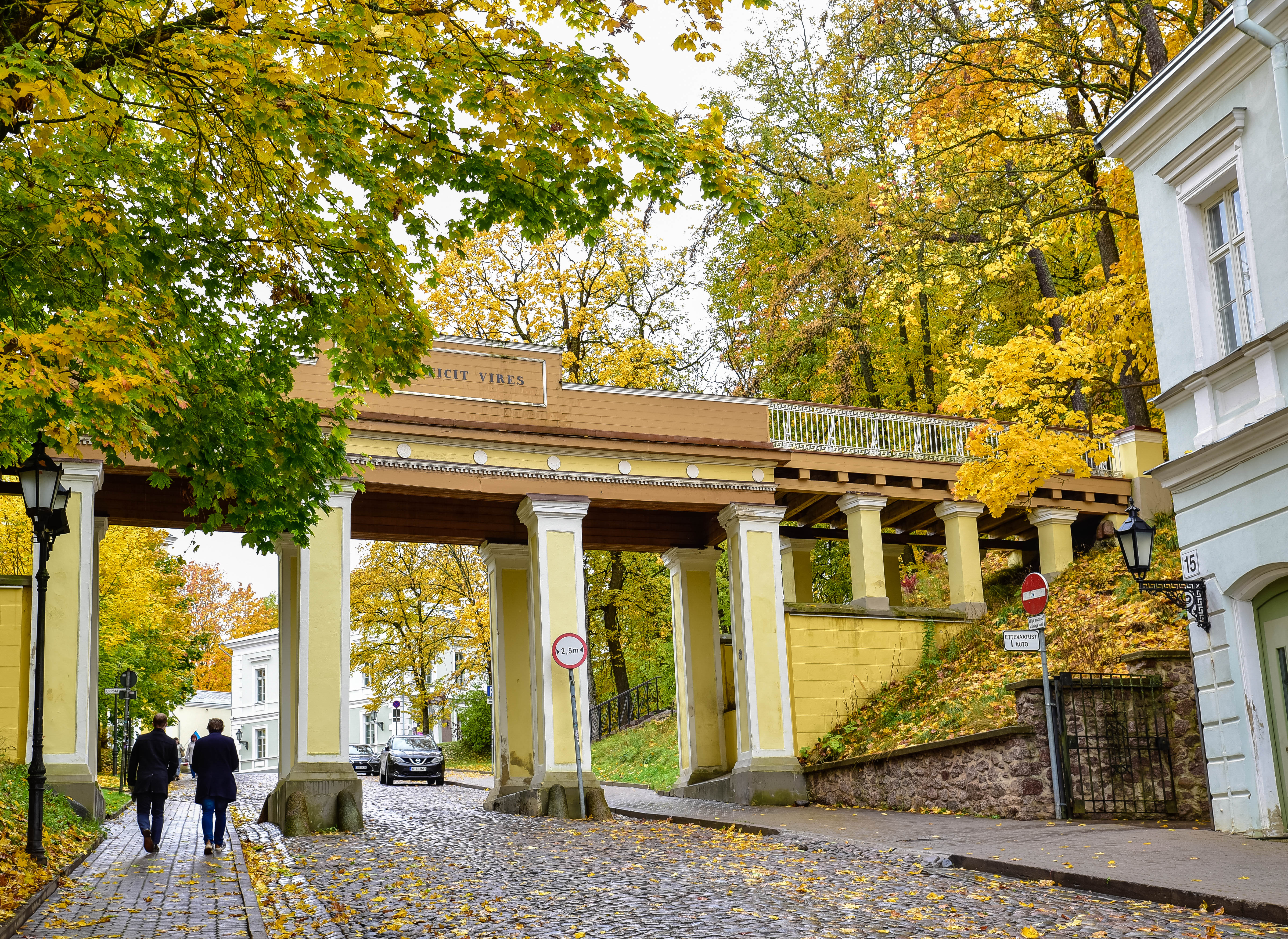 Inglisild Toomemäel