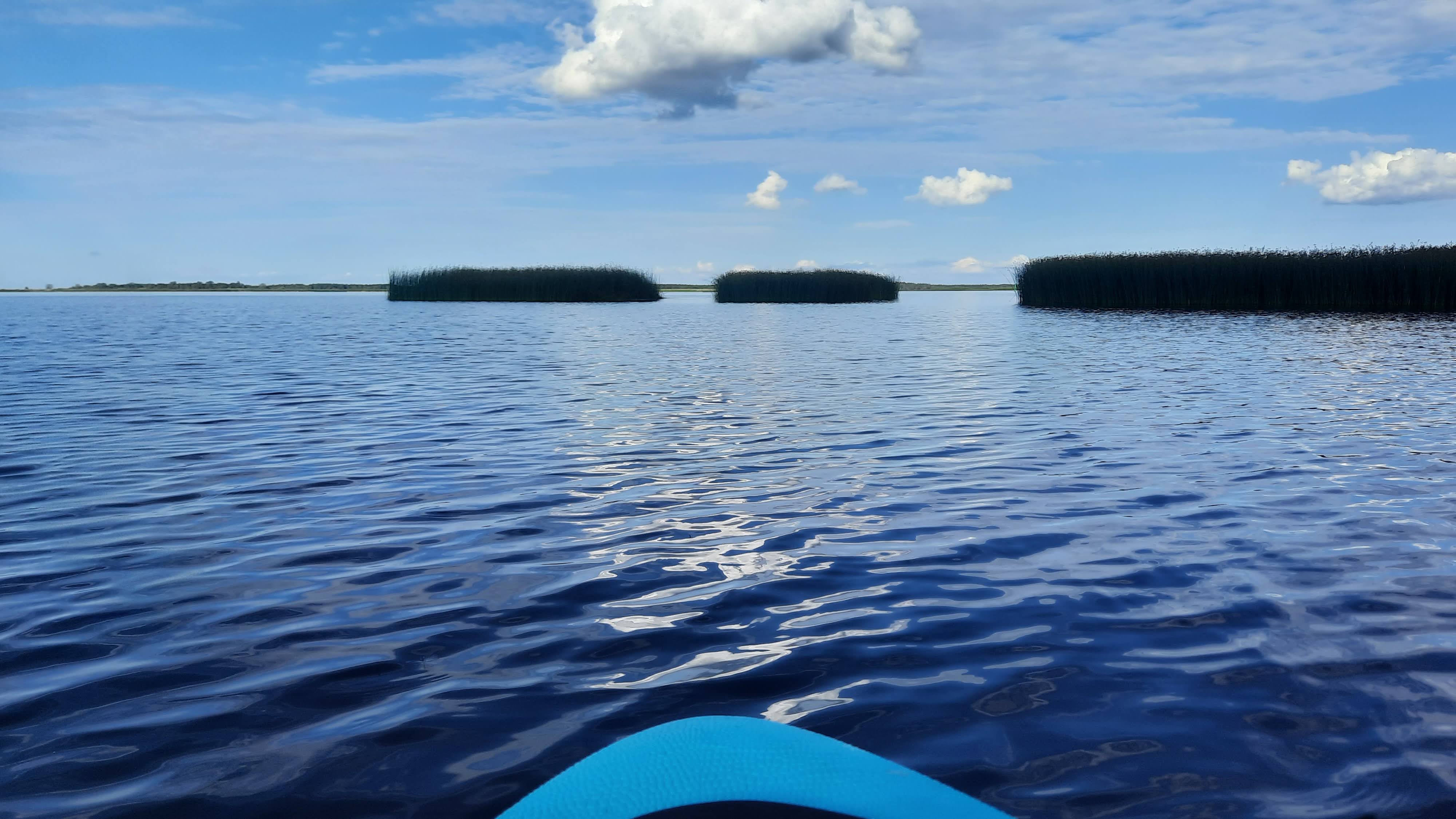 Rohusaarekeste taga paistab Lämmijärv