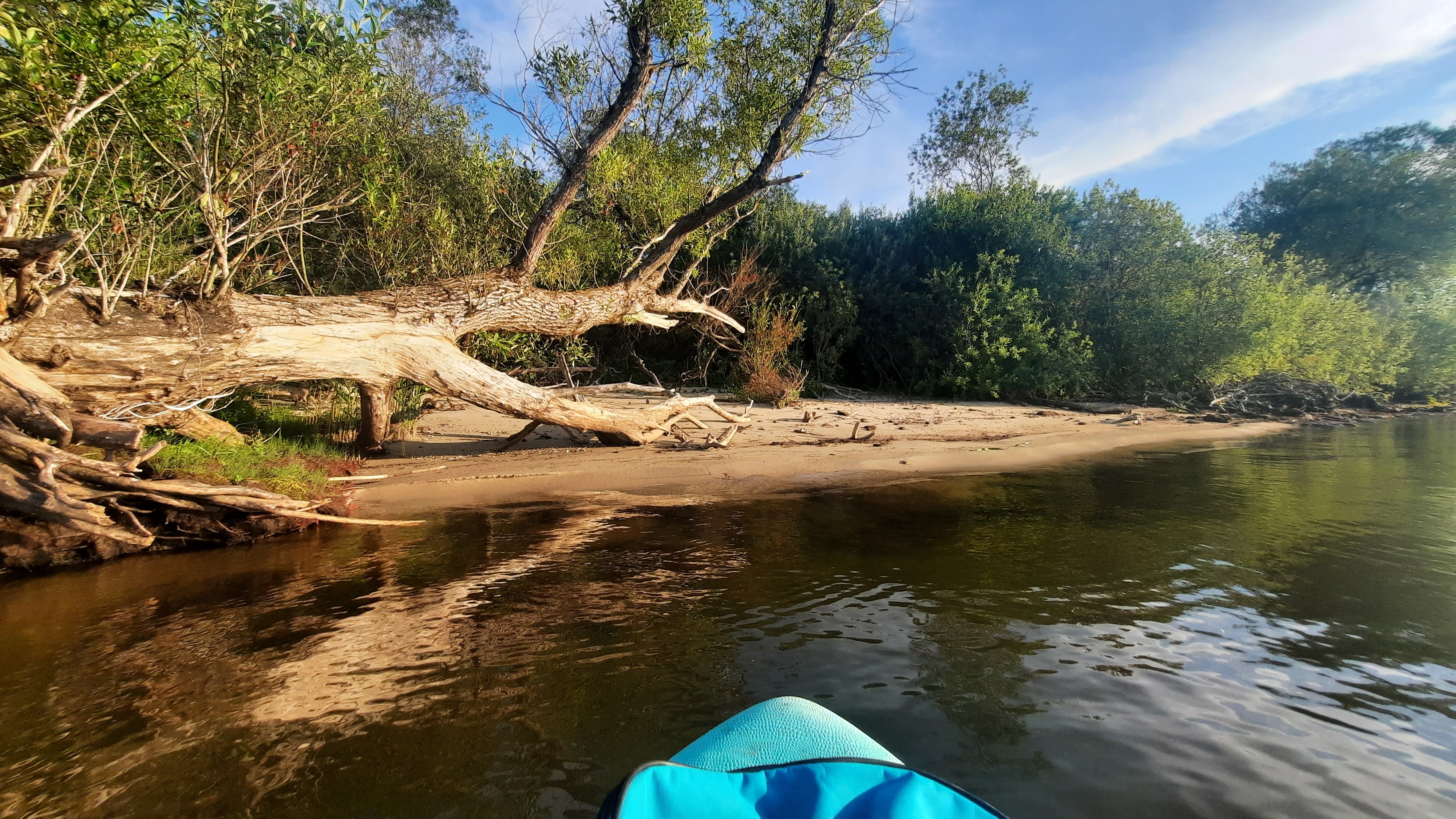 Piirisaare salarannad