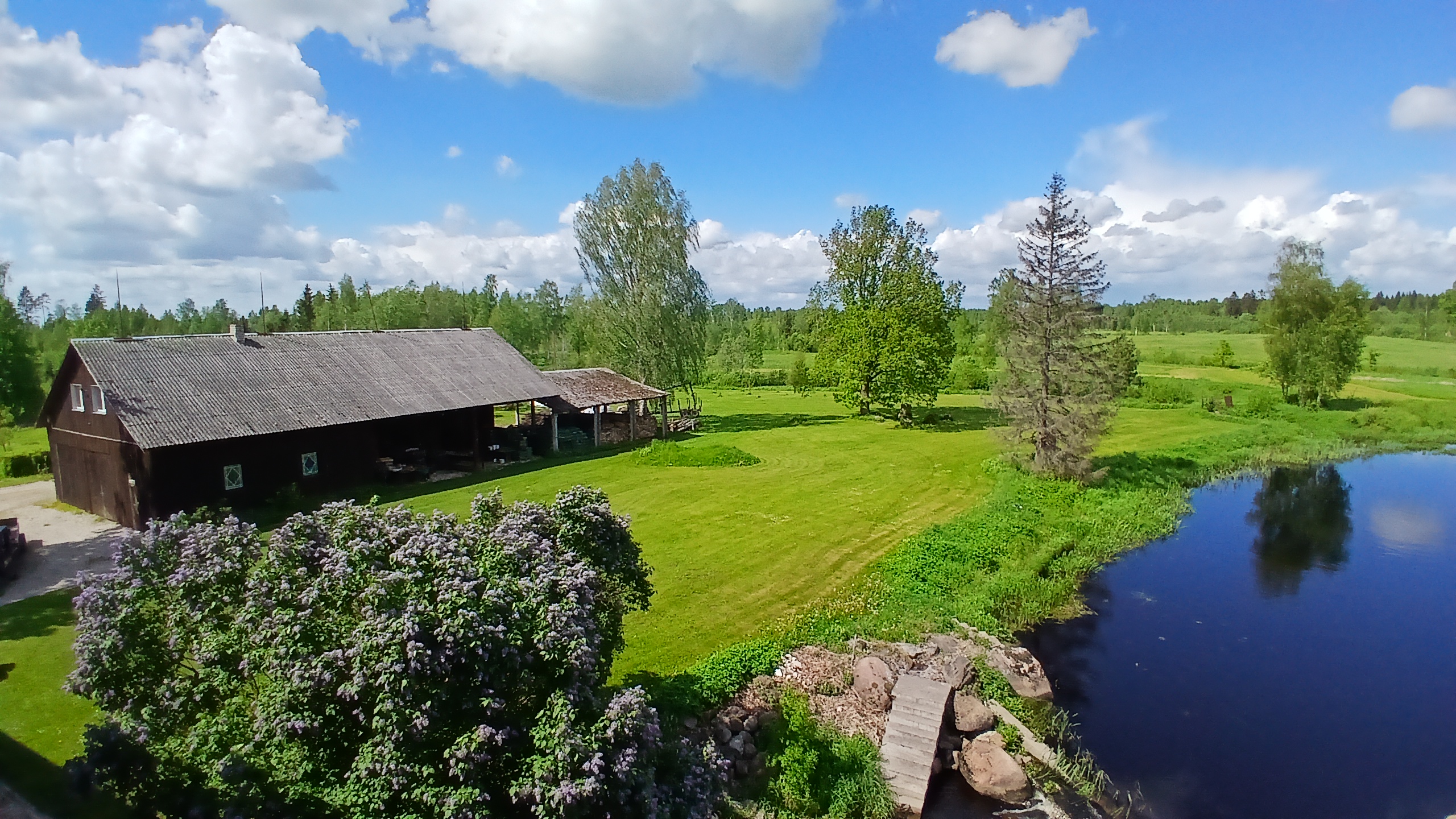 Tammemäe Vesiveski väliala