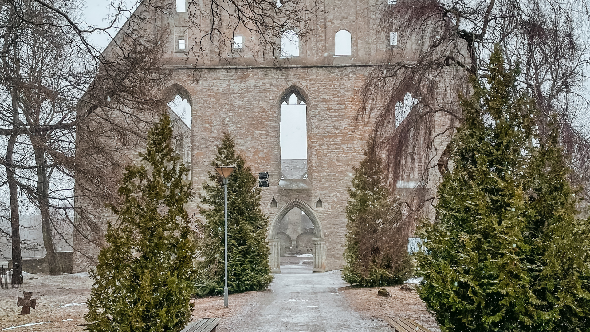 Pirita kloostri sein