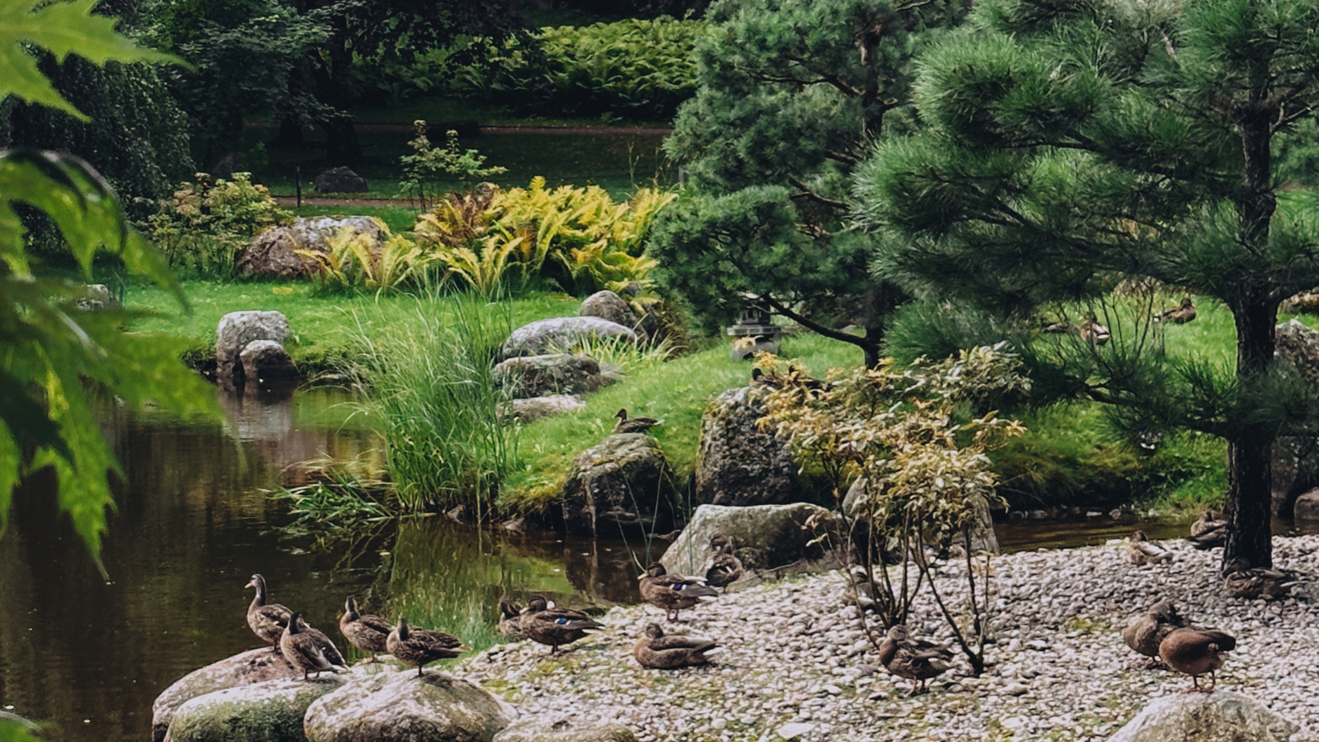 Looduskaunis jõeäär Kadriorus