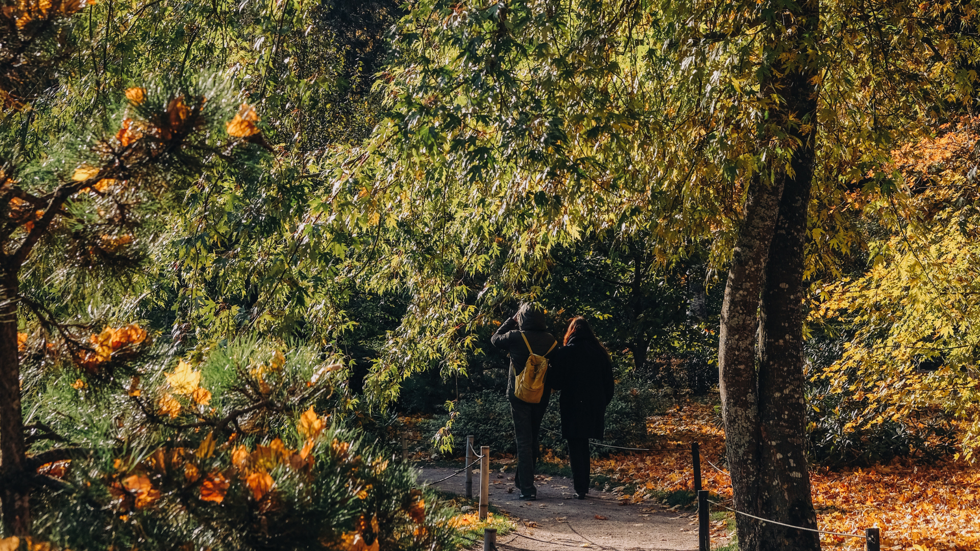 Sõgisene Jaapnai aed