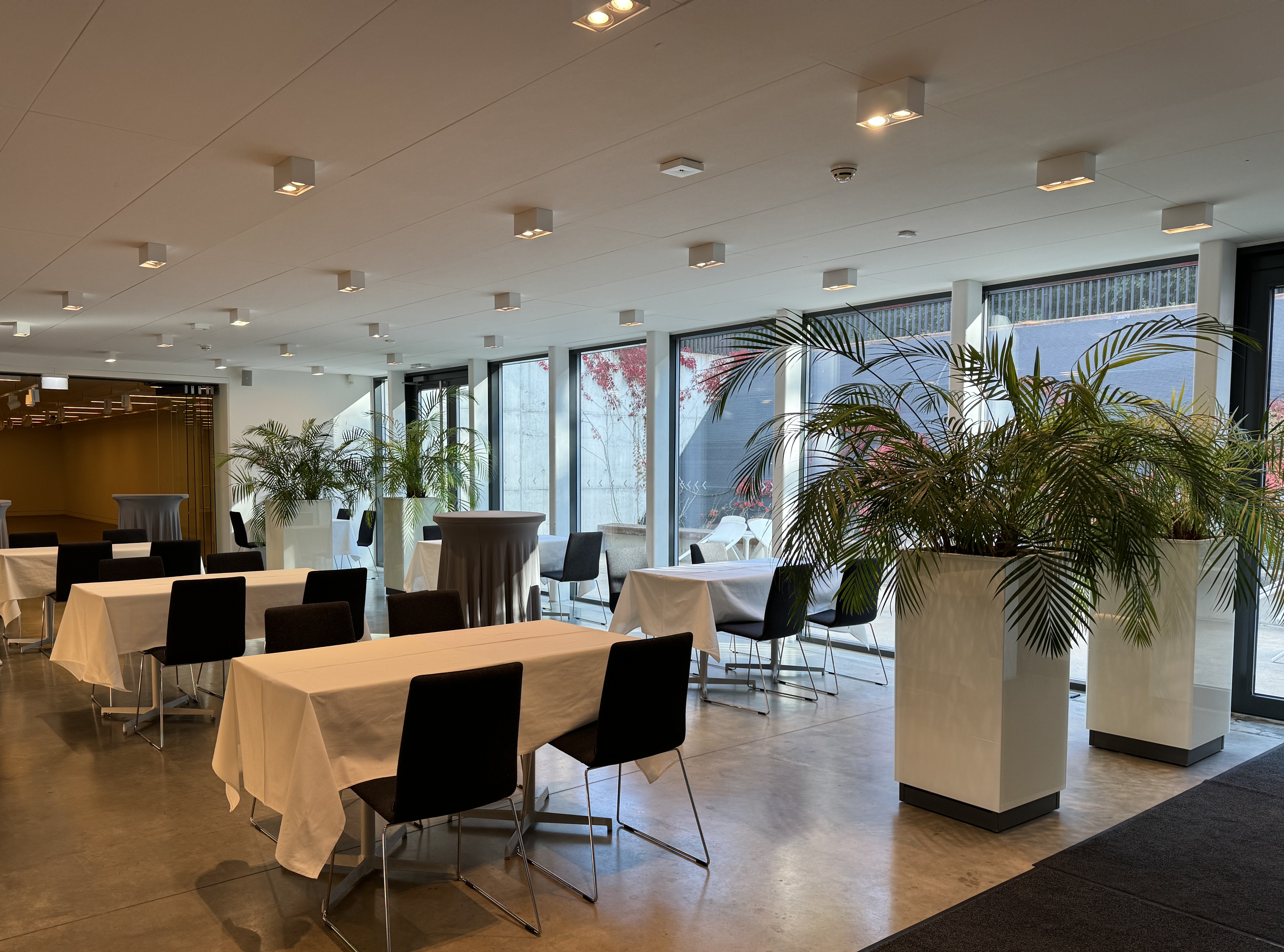 Kohviku ja ajutiste näituste ala