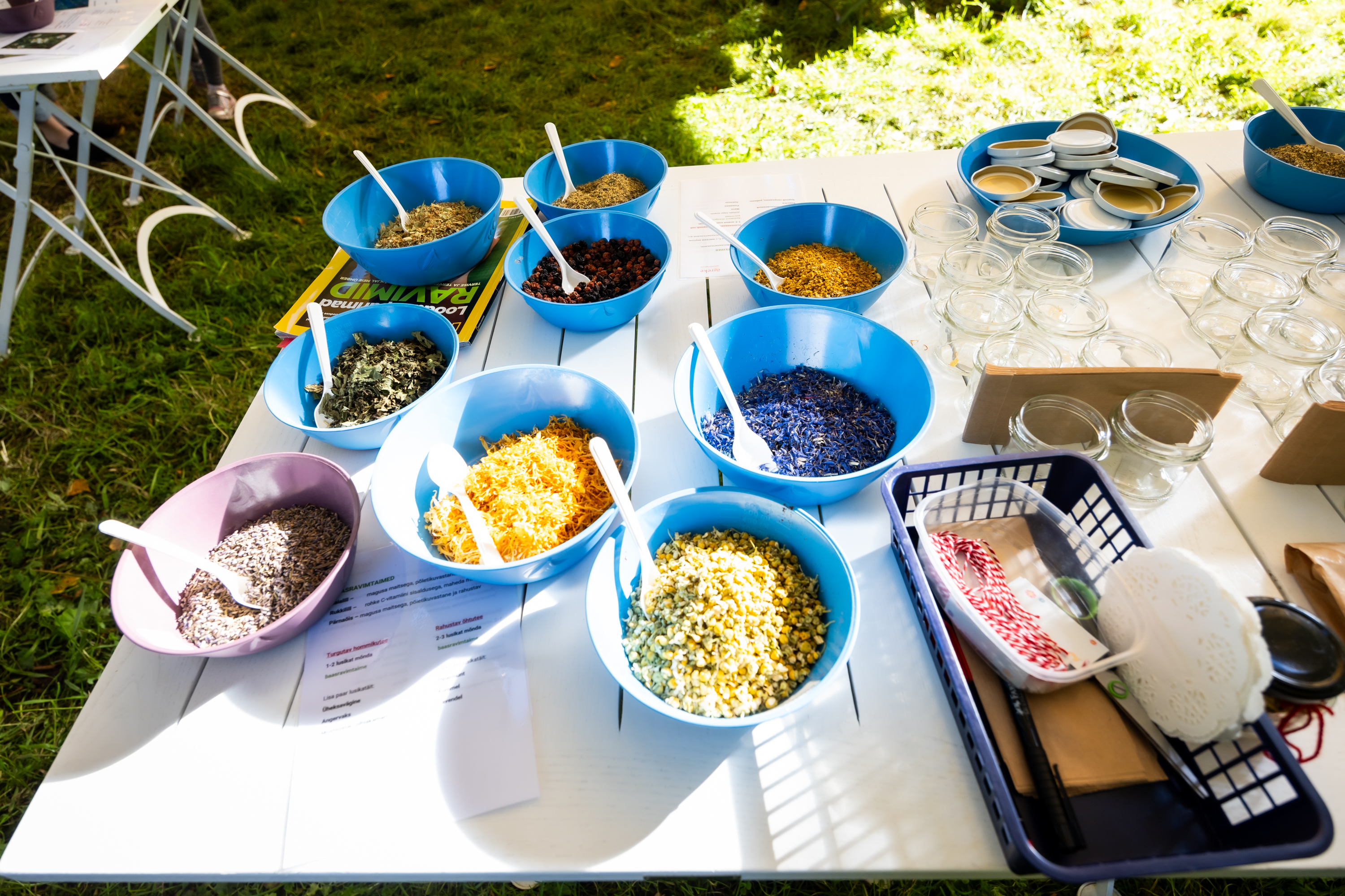 Herbal tea workshop