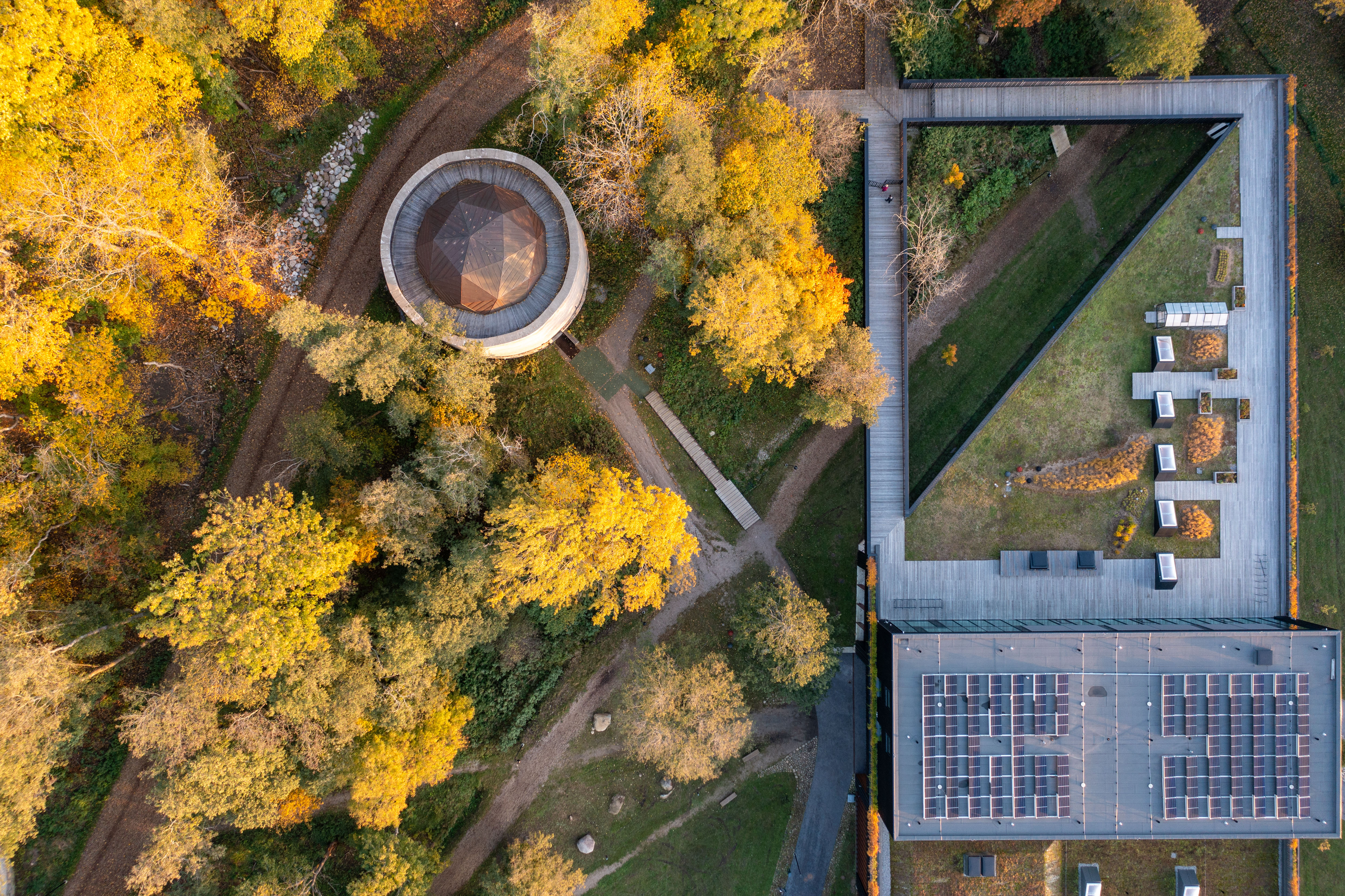 Viimsi Artium, droonivõte