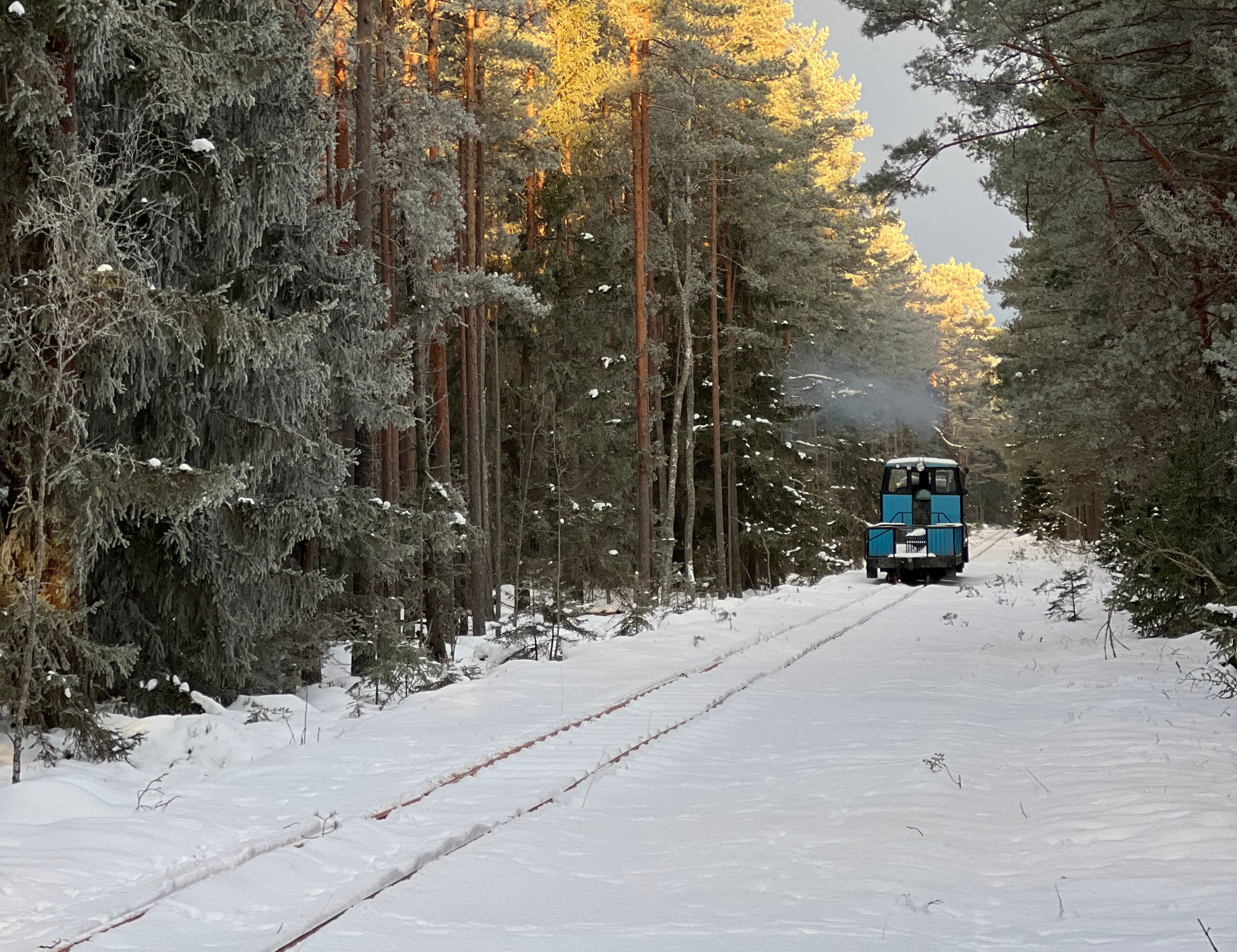 Naissaare kitsarööpmeline raudtee talvel