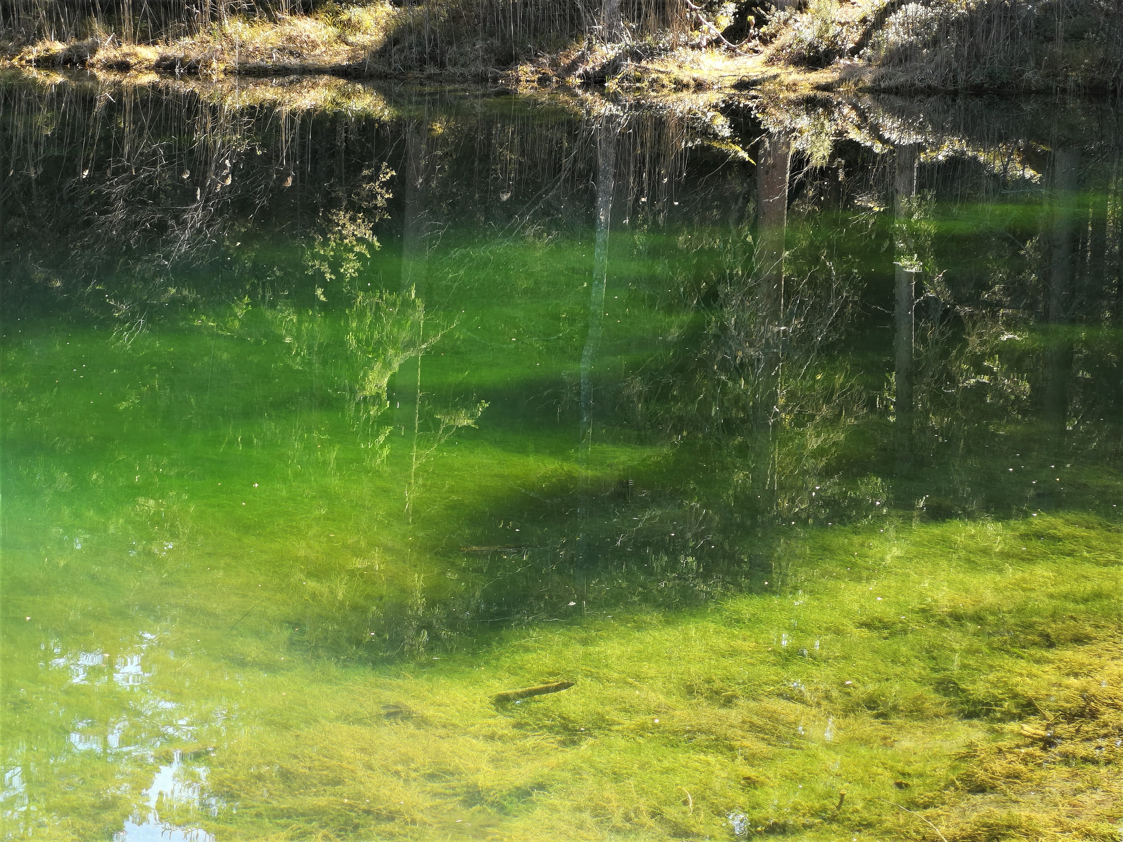 Porkuni järve läbipaistvus