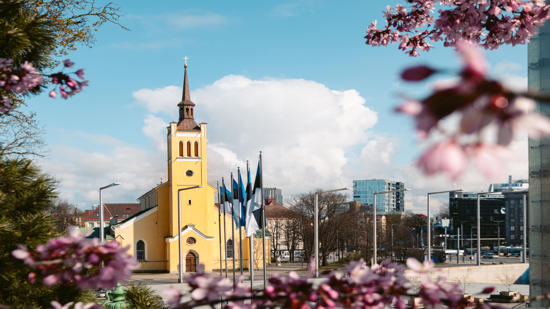 Tallinna Jaani kirik