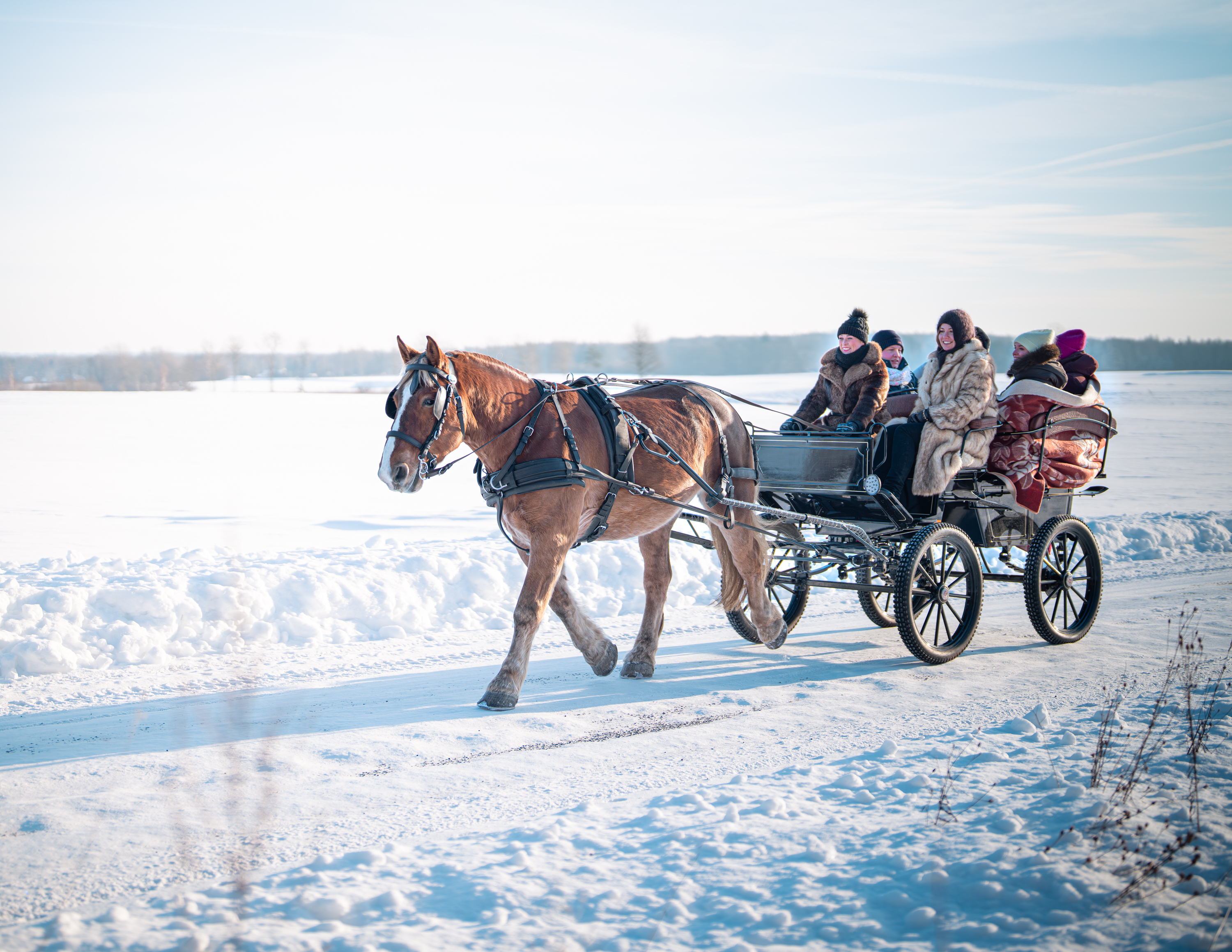 Hobustega vankrisõit sobib igas vanuses inimestele