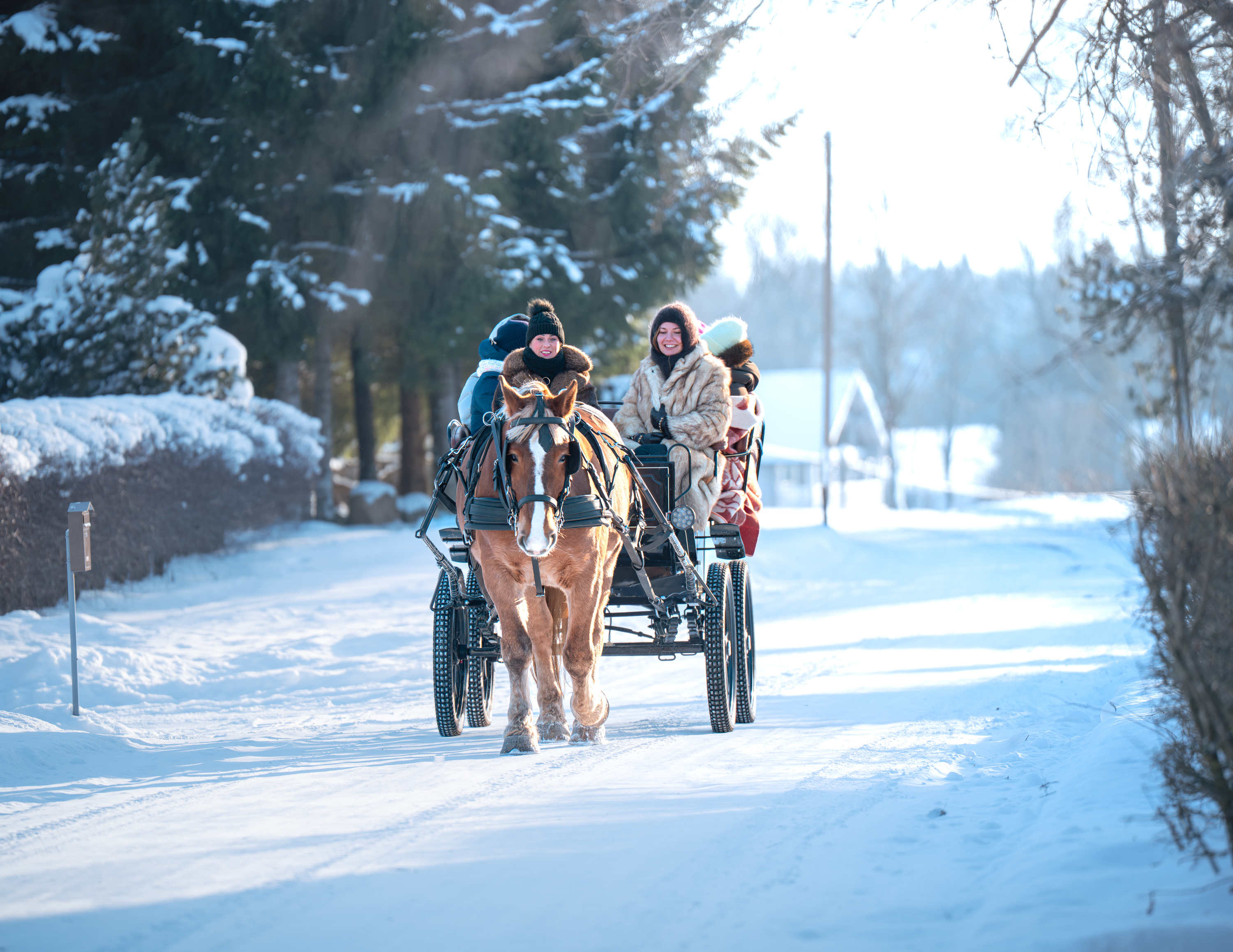 Vankrisõit hobustega sobib romantiliseks puhkuseks