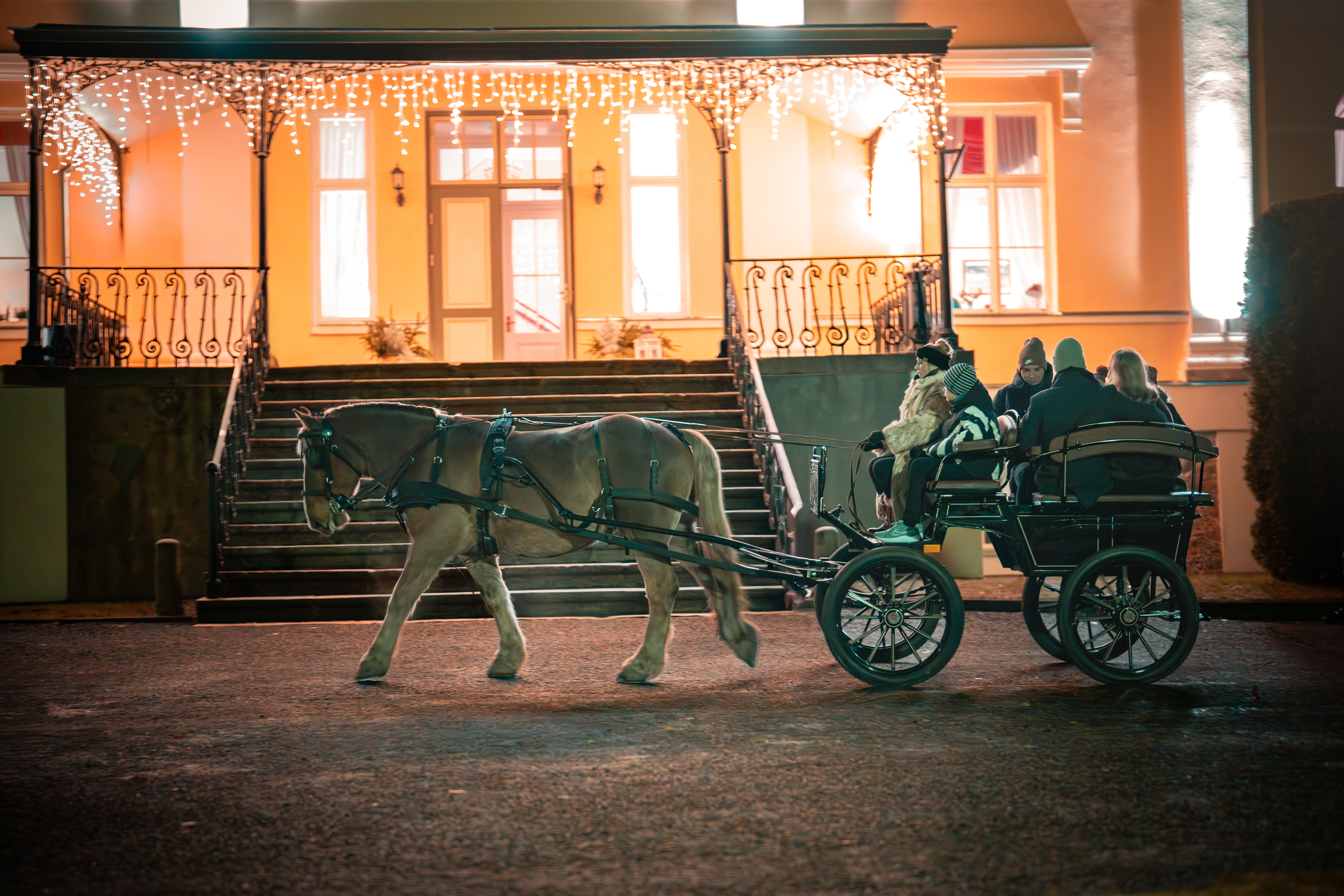 Hobustega vankrisõit Metsapiiga Talus