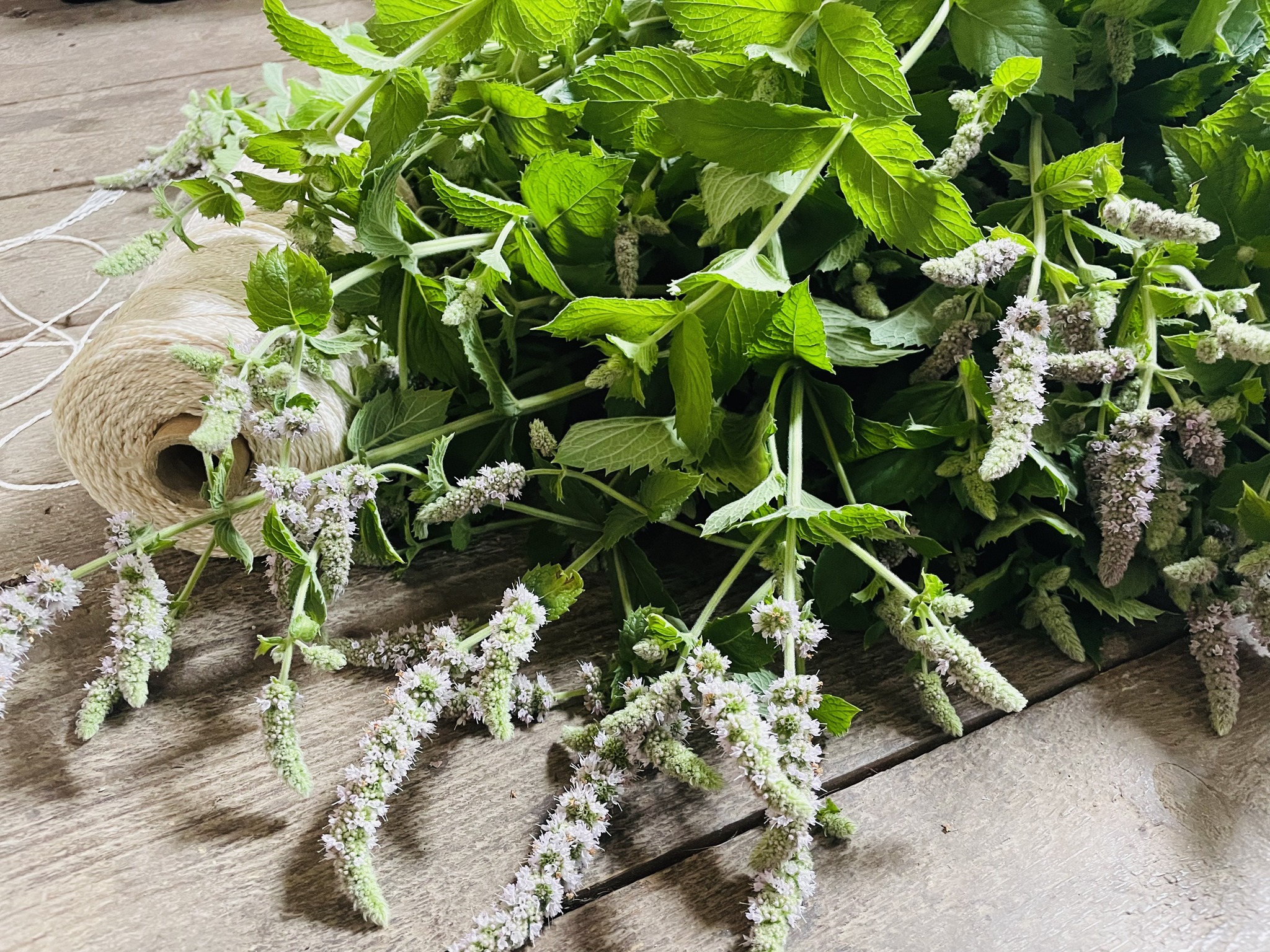 Ööbiku Gastronoomiatalu restaurant