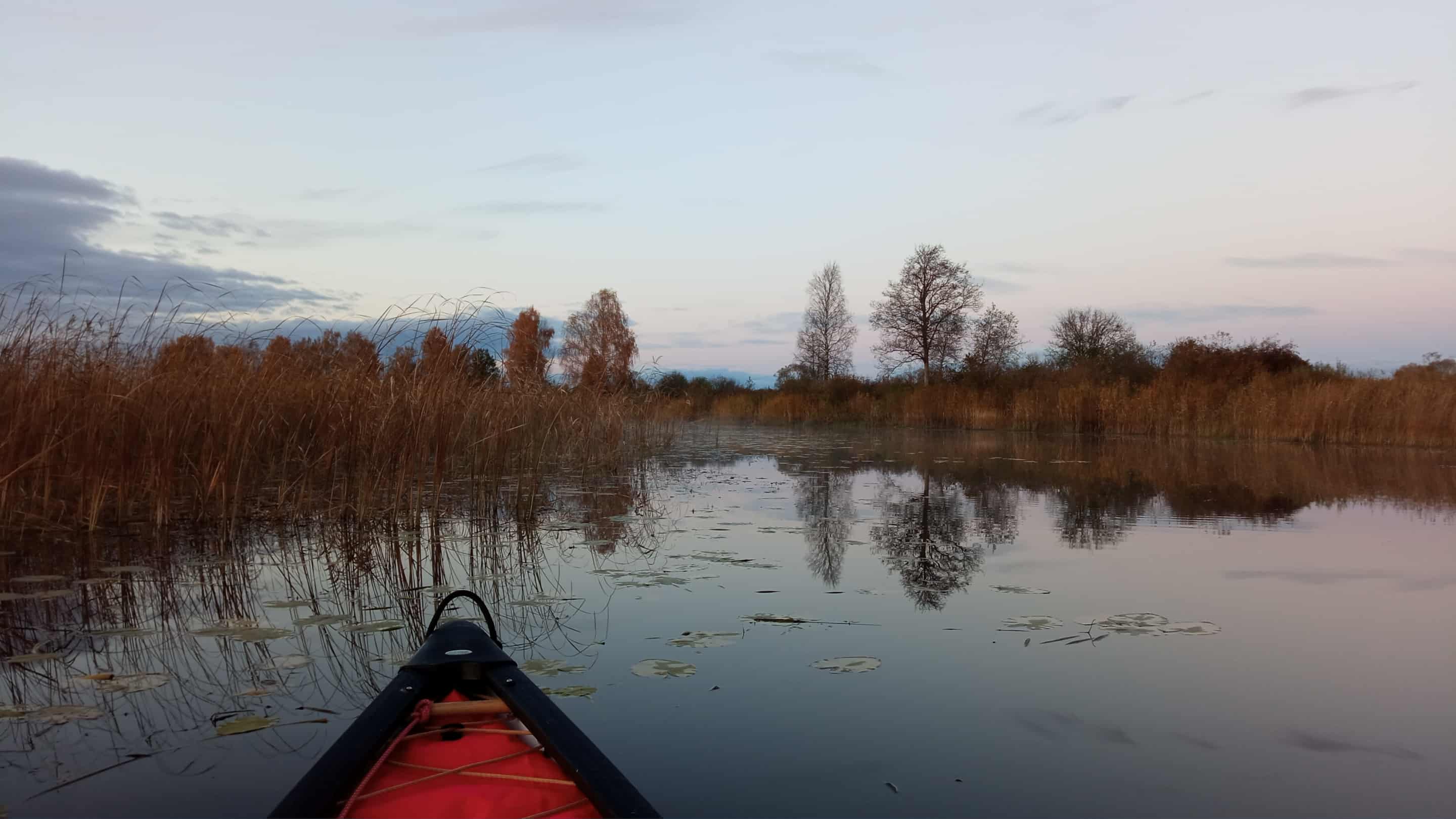 Sügisudu Emajõe vanajõel, Alam-Pedjal