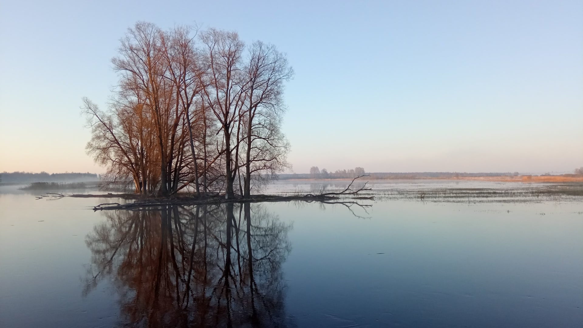Kevadine suurvesi Emajõe luhal. Palupõhja, Alam-Pedja