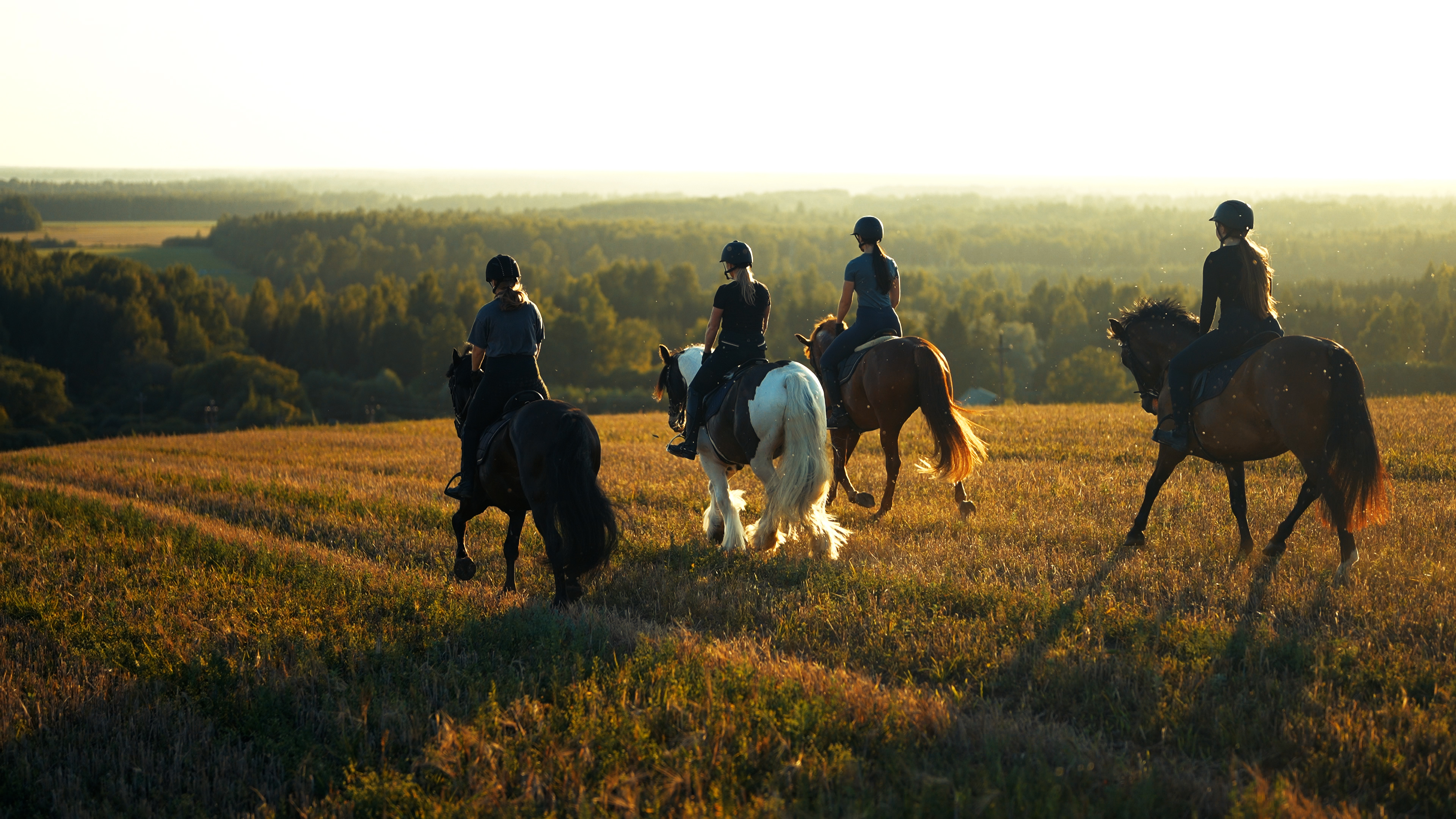 Metsapiiga Talu ratsastusmatka