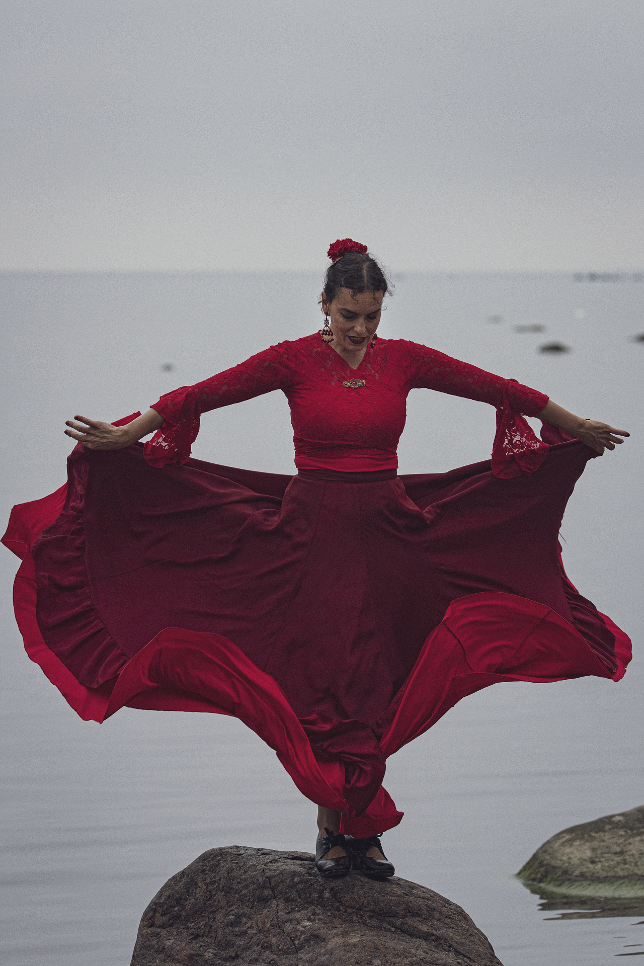 Flamenkoseelikud ja  Eesti mererand