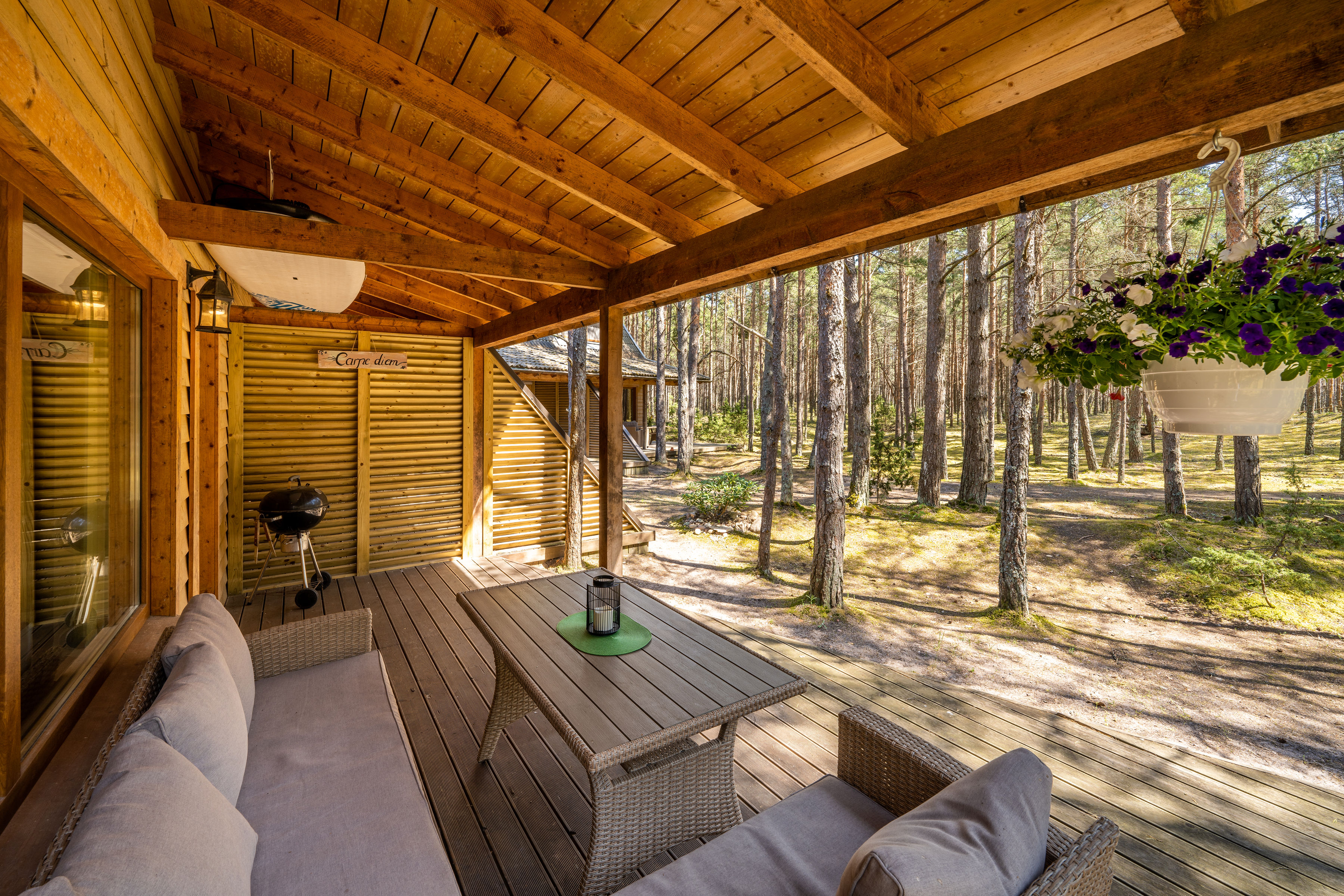 Terrassi vaade männimetsale