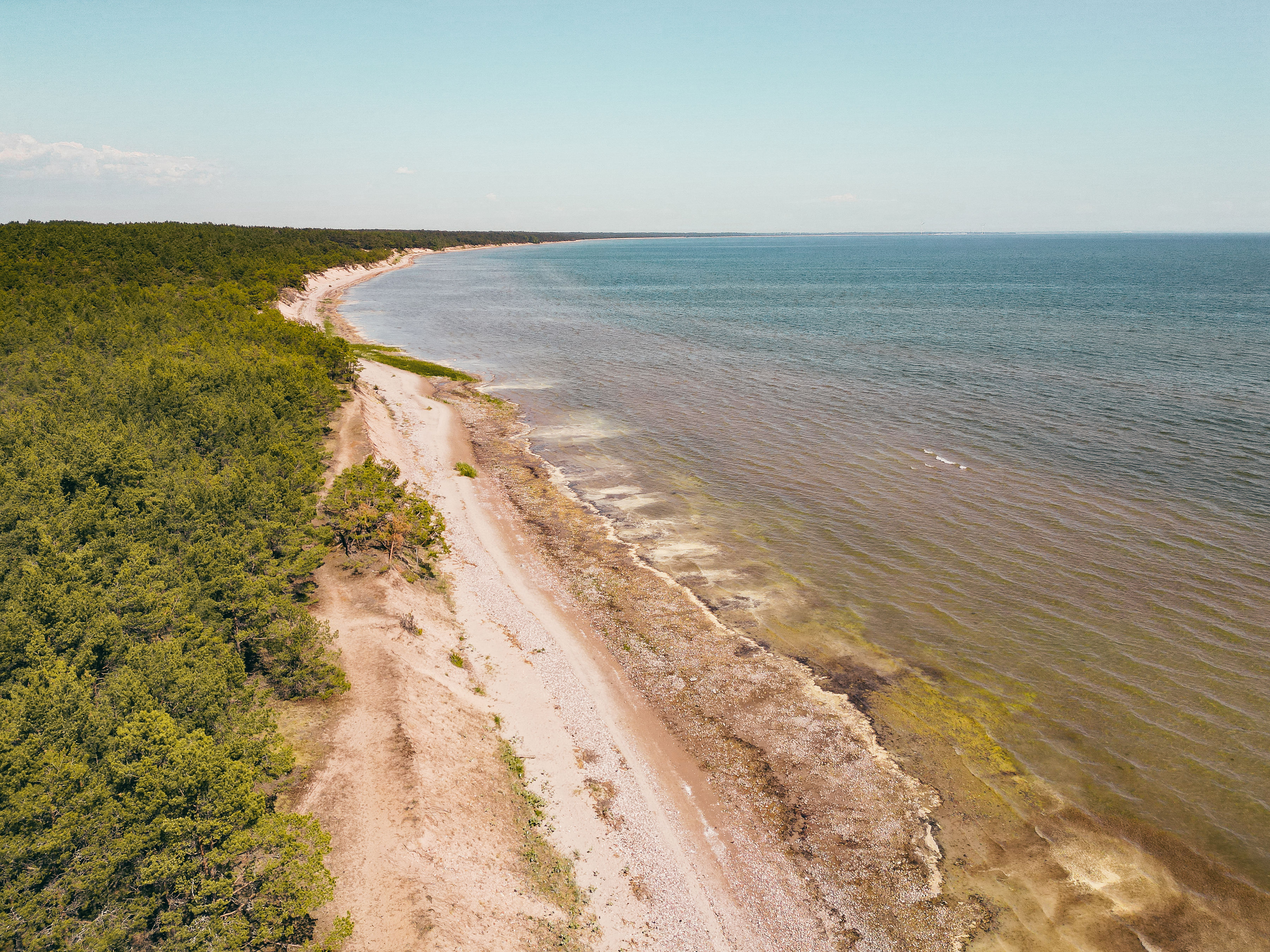 Tehumardi Laguuni rand