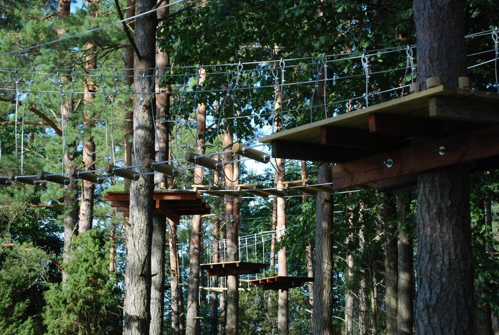 Hallikivi Adventure Park in Saaremaa