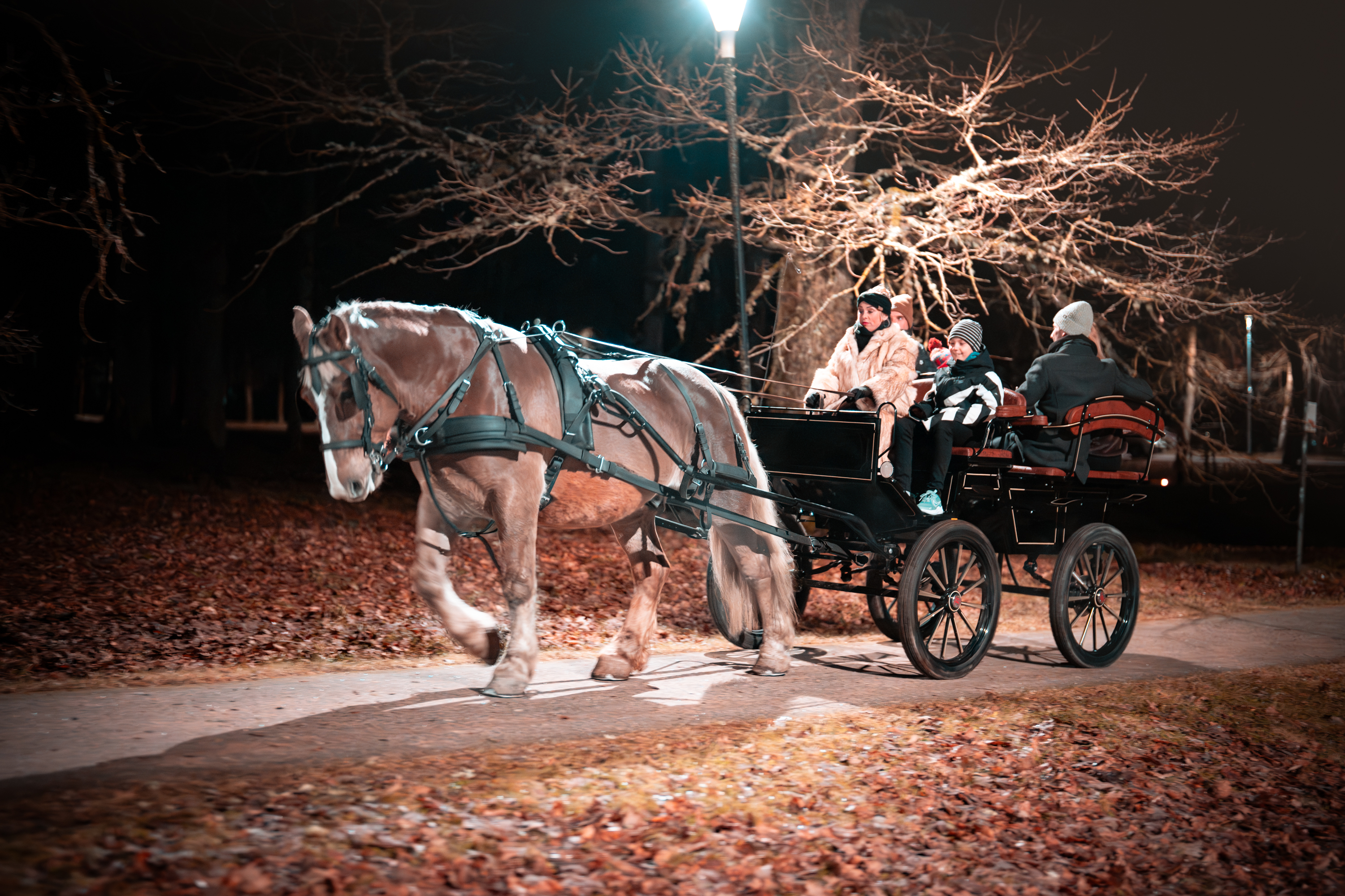 Vankrisõit hobusega