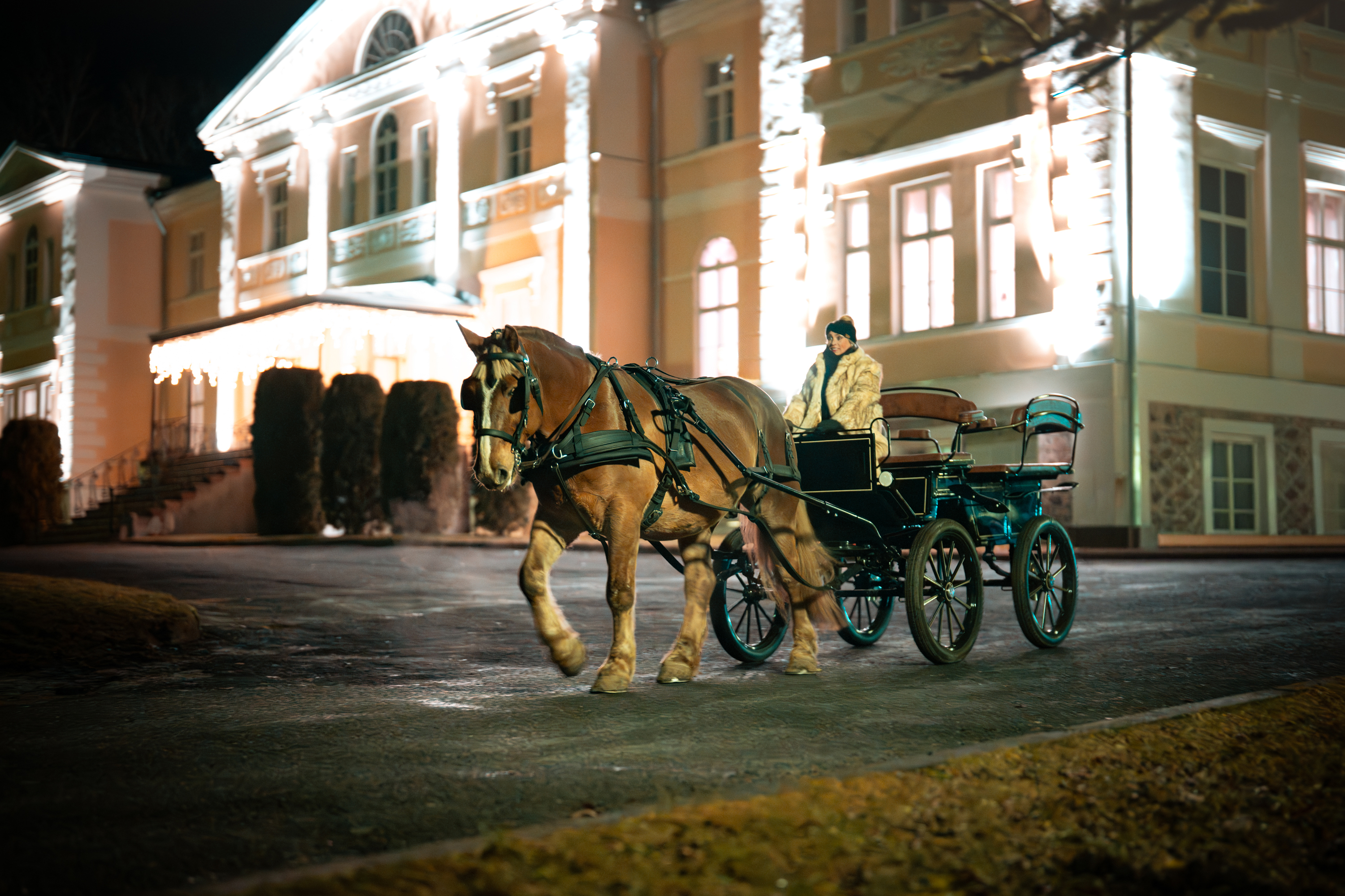 Vankrisõit koos veinikoolitusega