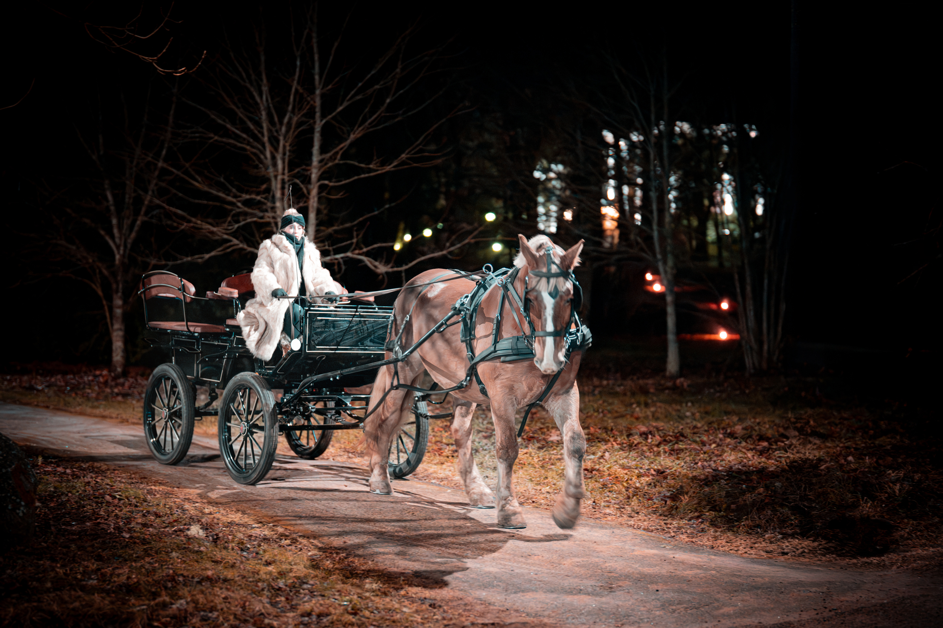 Vankrisõit Vaigla veinitallu koos veinikoolitusega