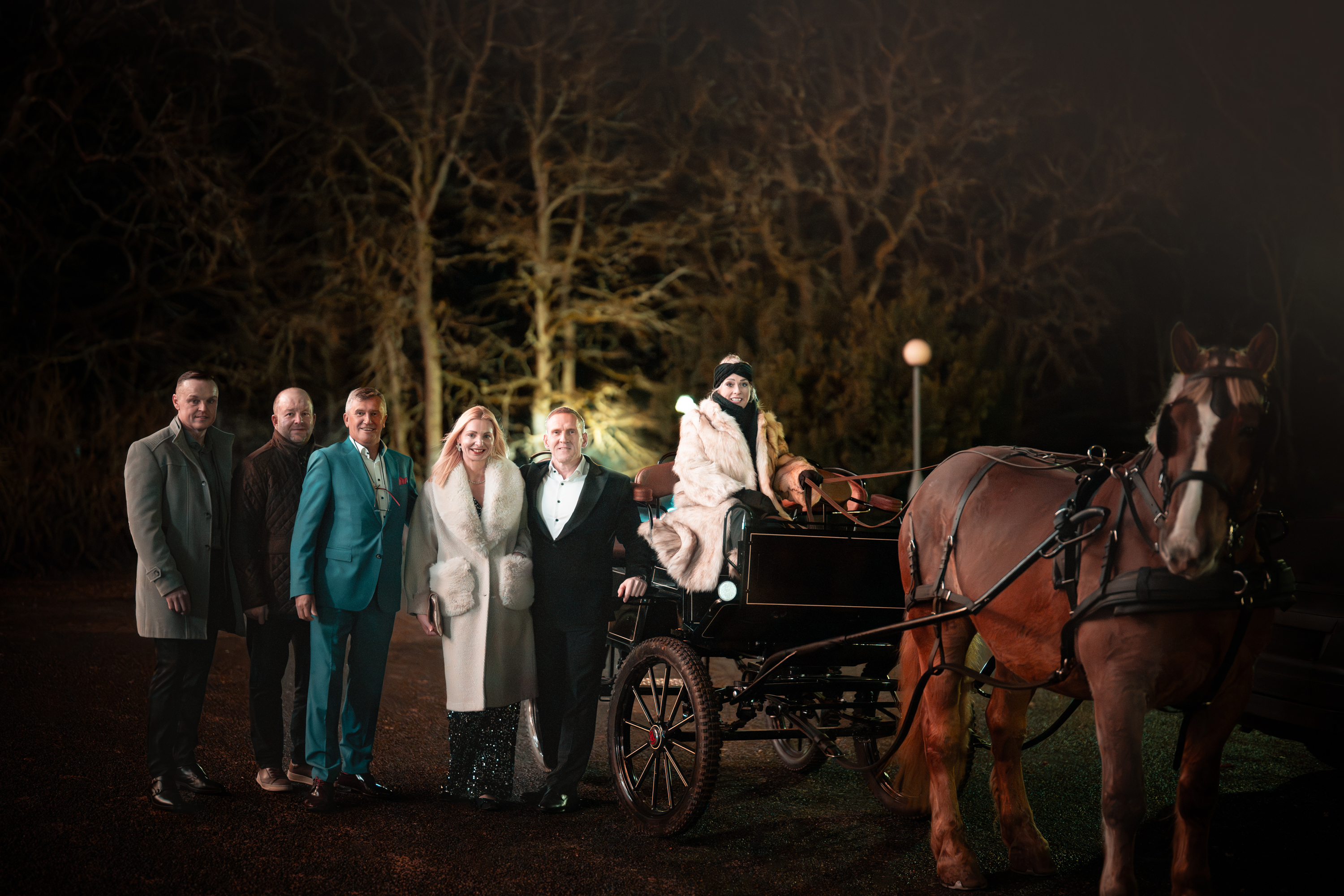 Vankrisõit veinitalus