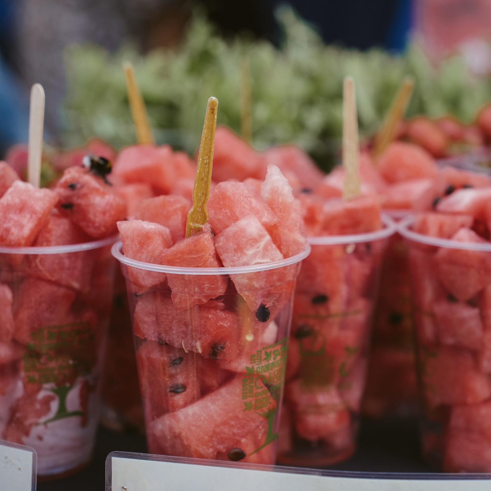 Viljandi Toidutänav