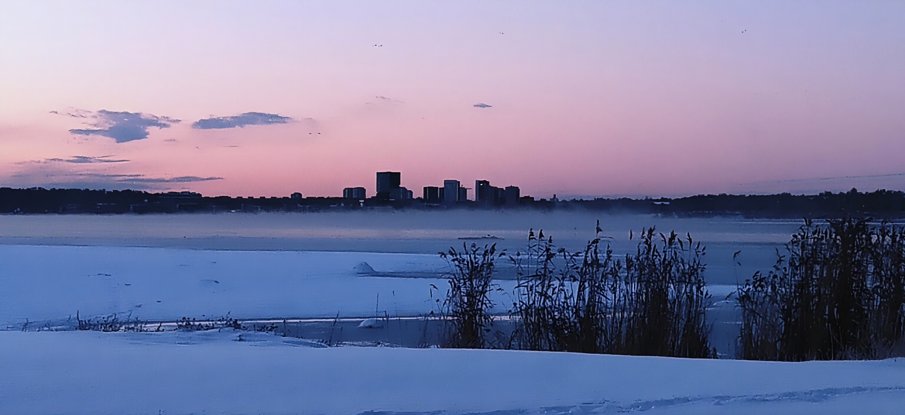 Elektrirattamatk Paljassaare ja Kopli radadel talvel