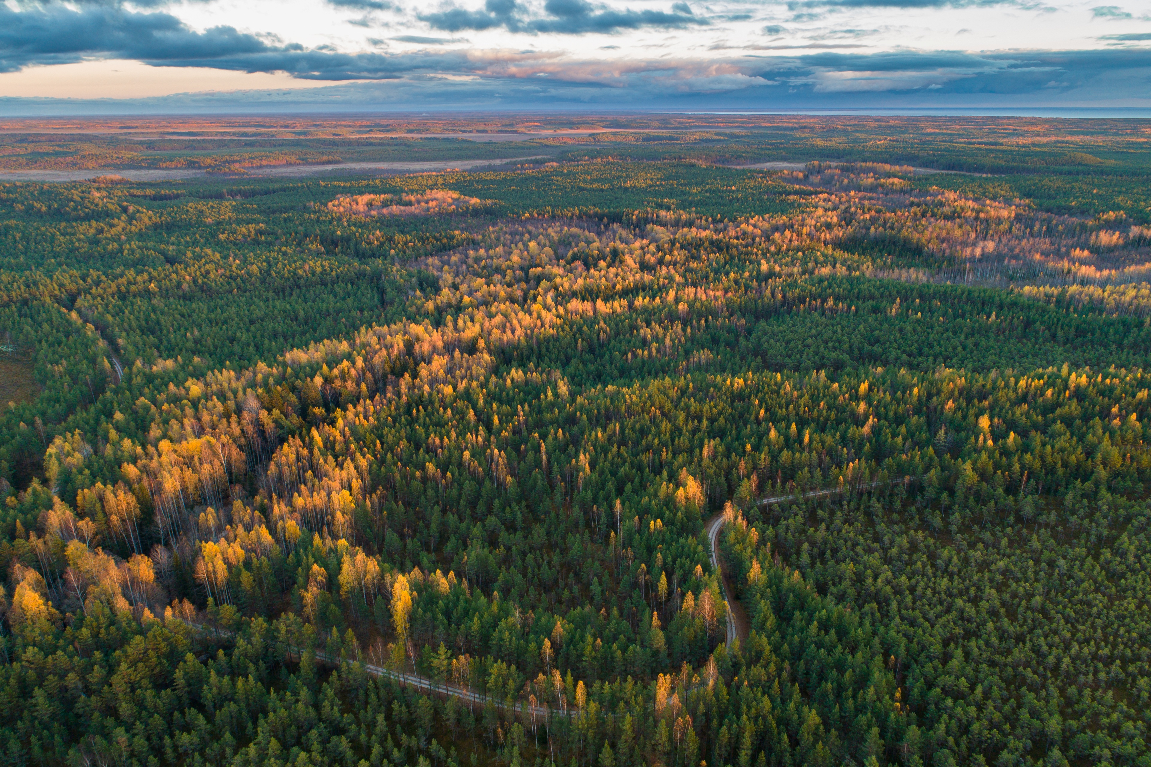 Soostik Ida-Virumaal ja kriivad