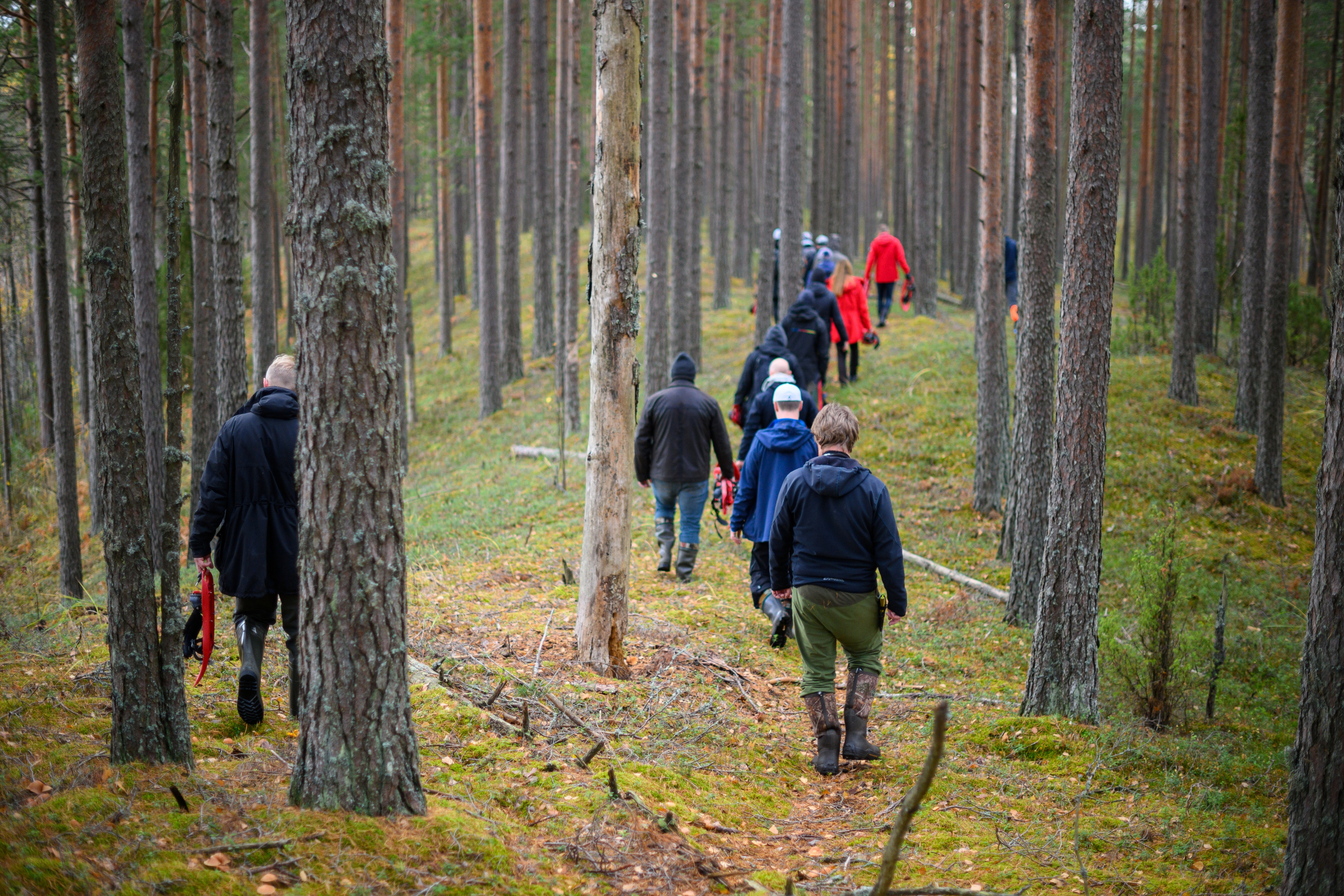 Soostik Ida-Virumaal ja kriivad