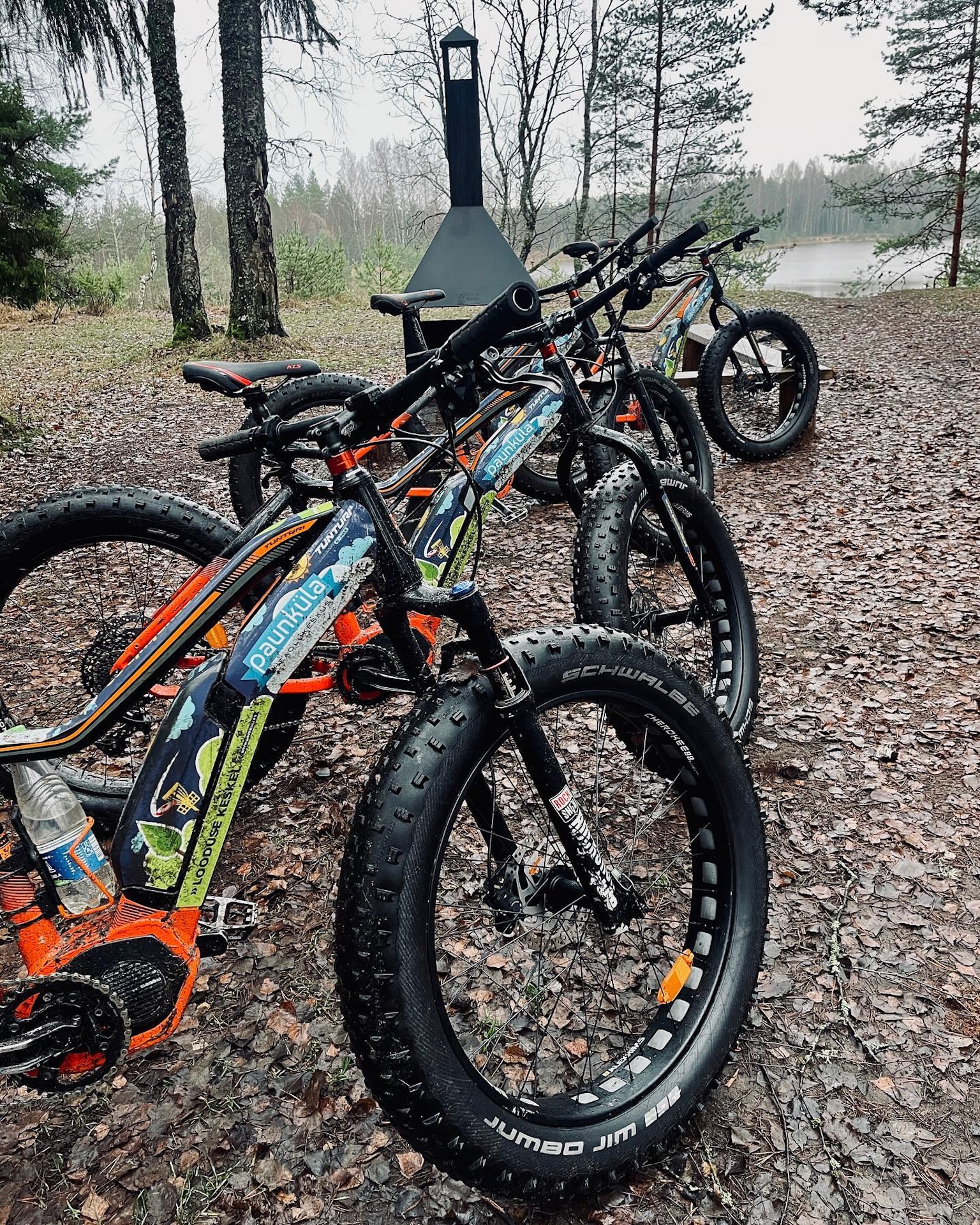 E-fatbike rattad sügiseses metsas