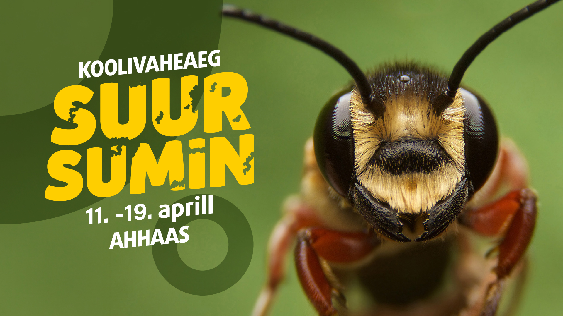AHHAA kevadvaheaeg "Suur sumin!"