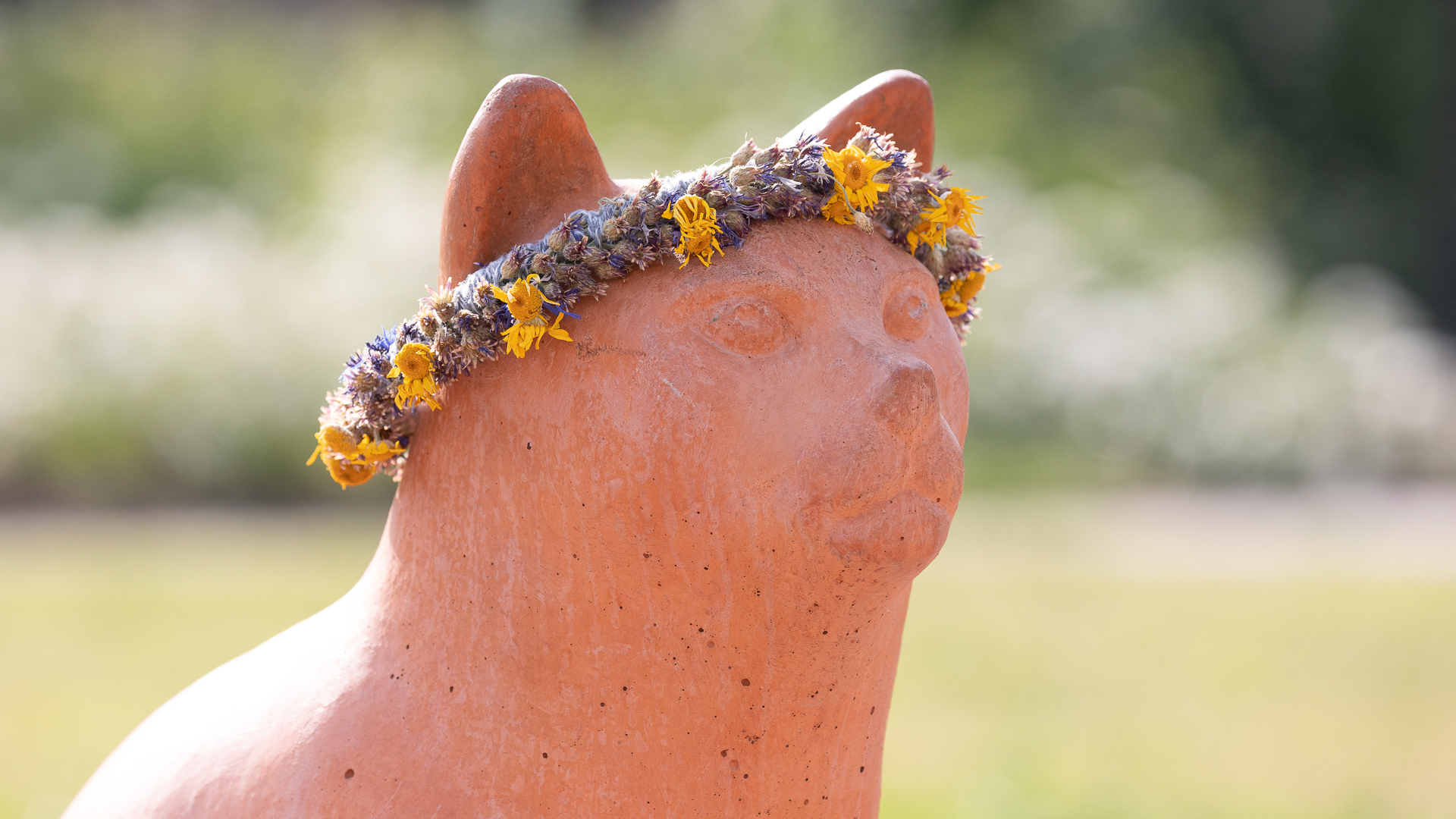 Üks Viljandi kiisudest