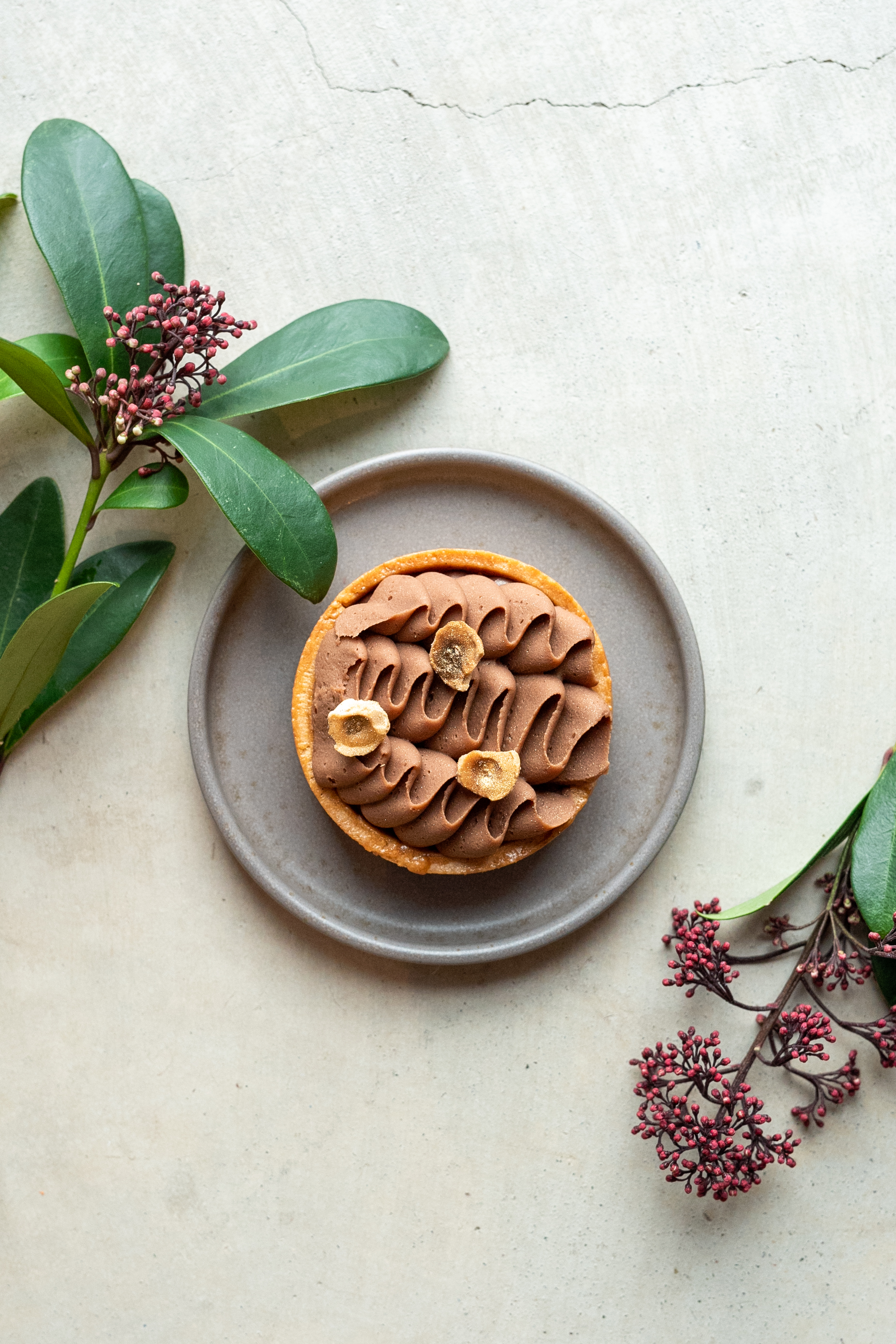 Ilmaveere restoran, magus amps, tart