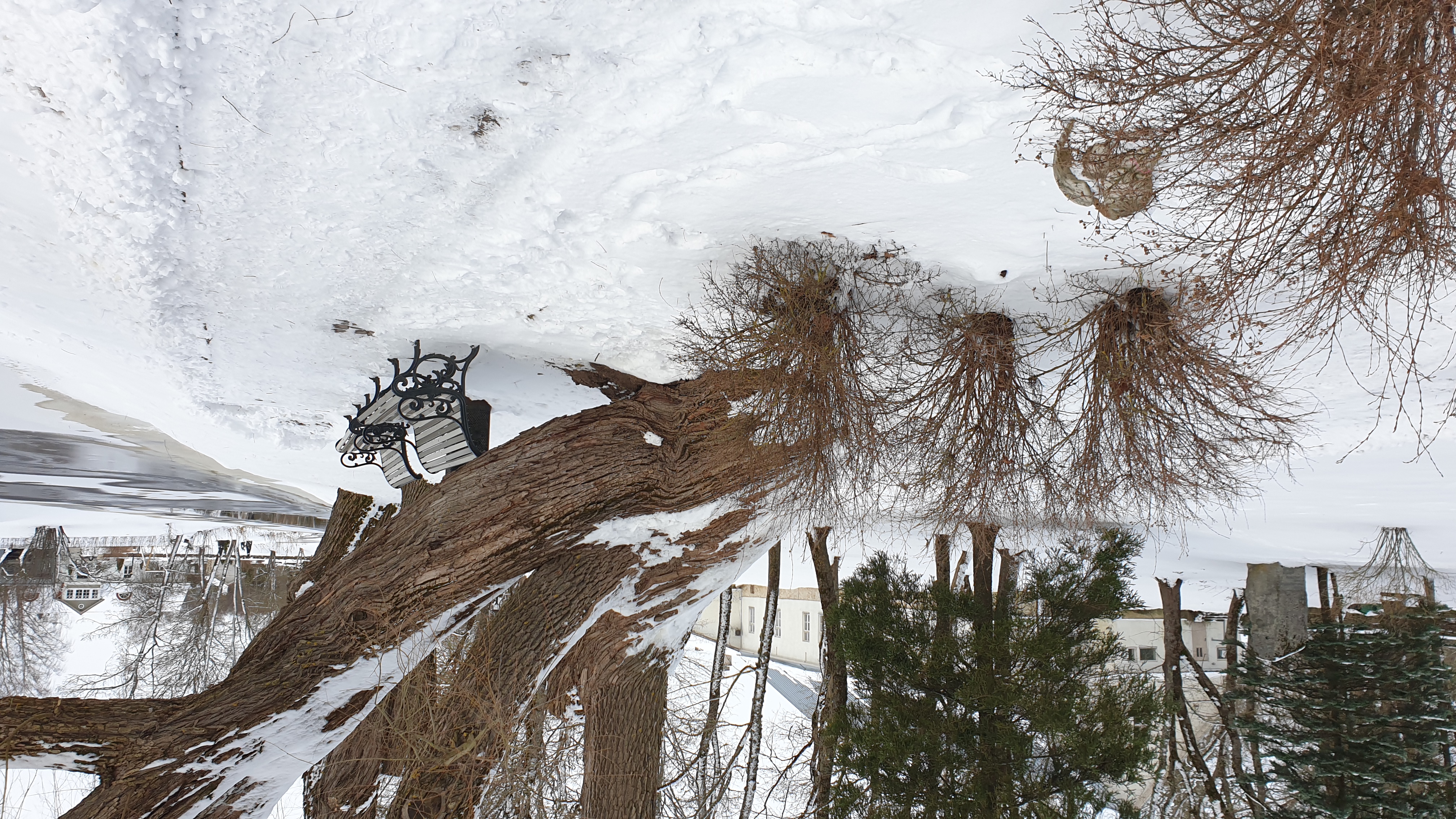 Kirikupromenaad Raplas.