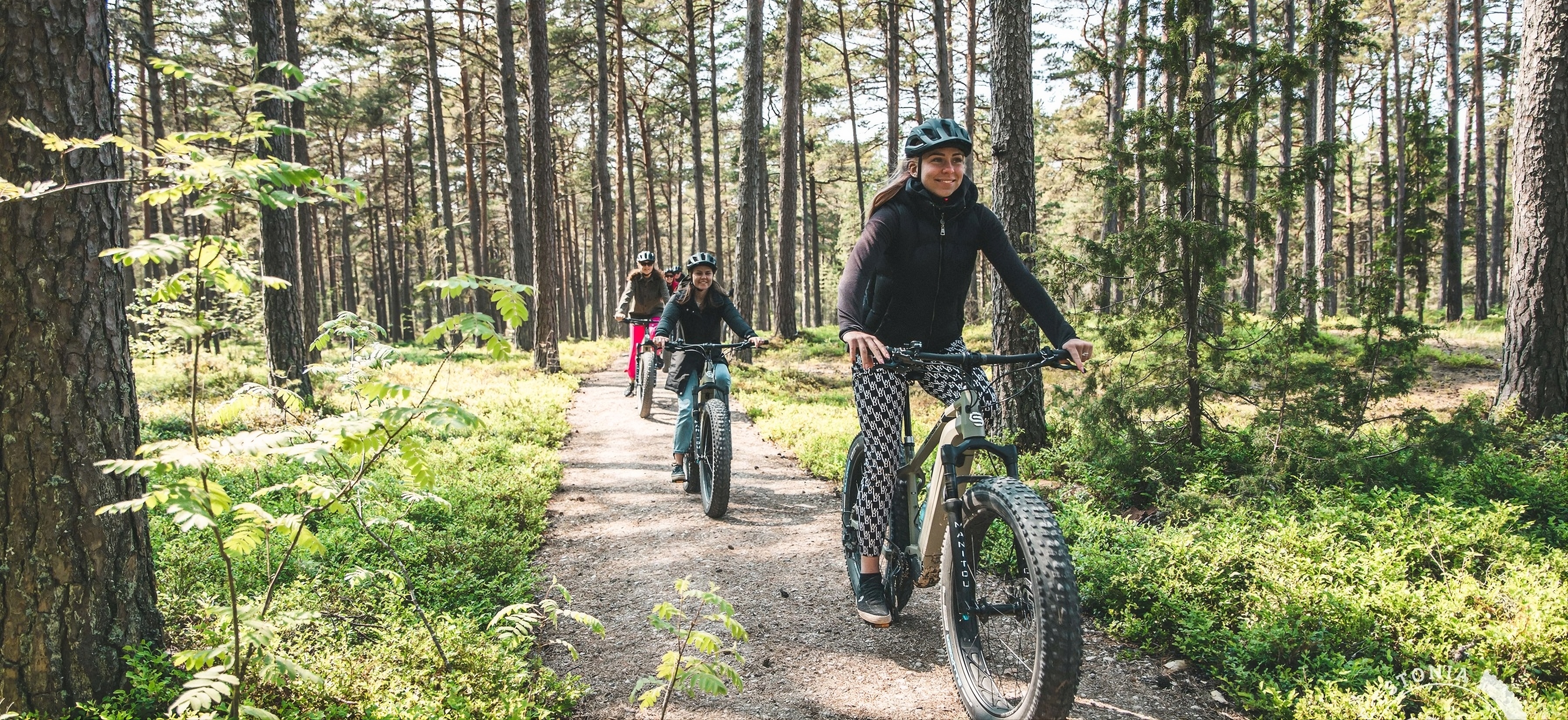 E-Bike Estonia Männiku metsas