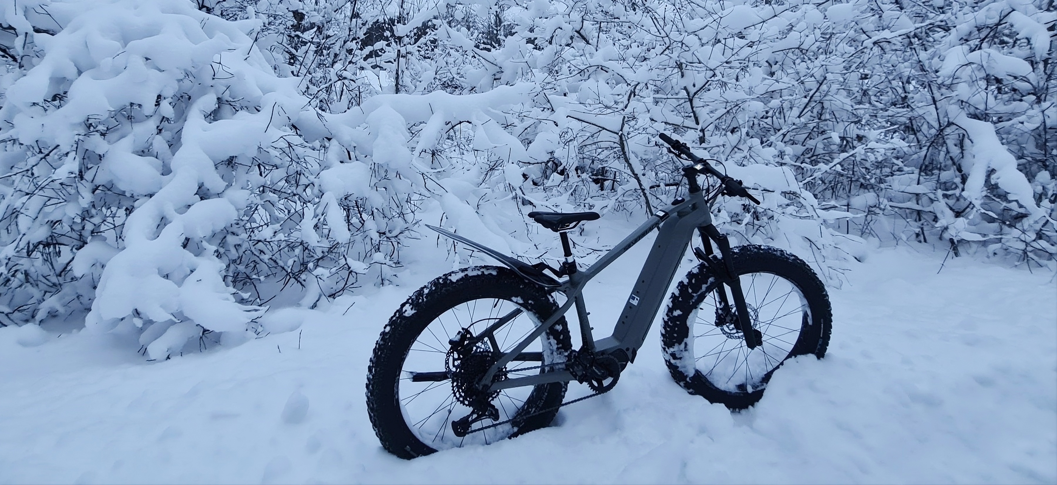 E-Bike Estonia ratas lumes