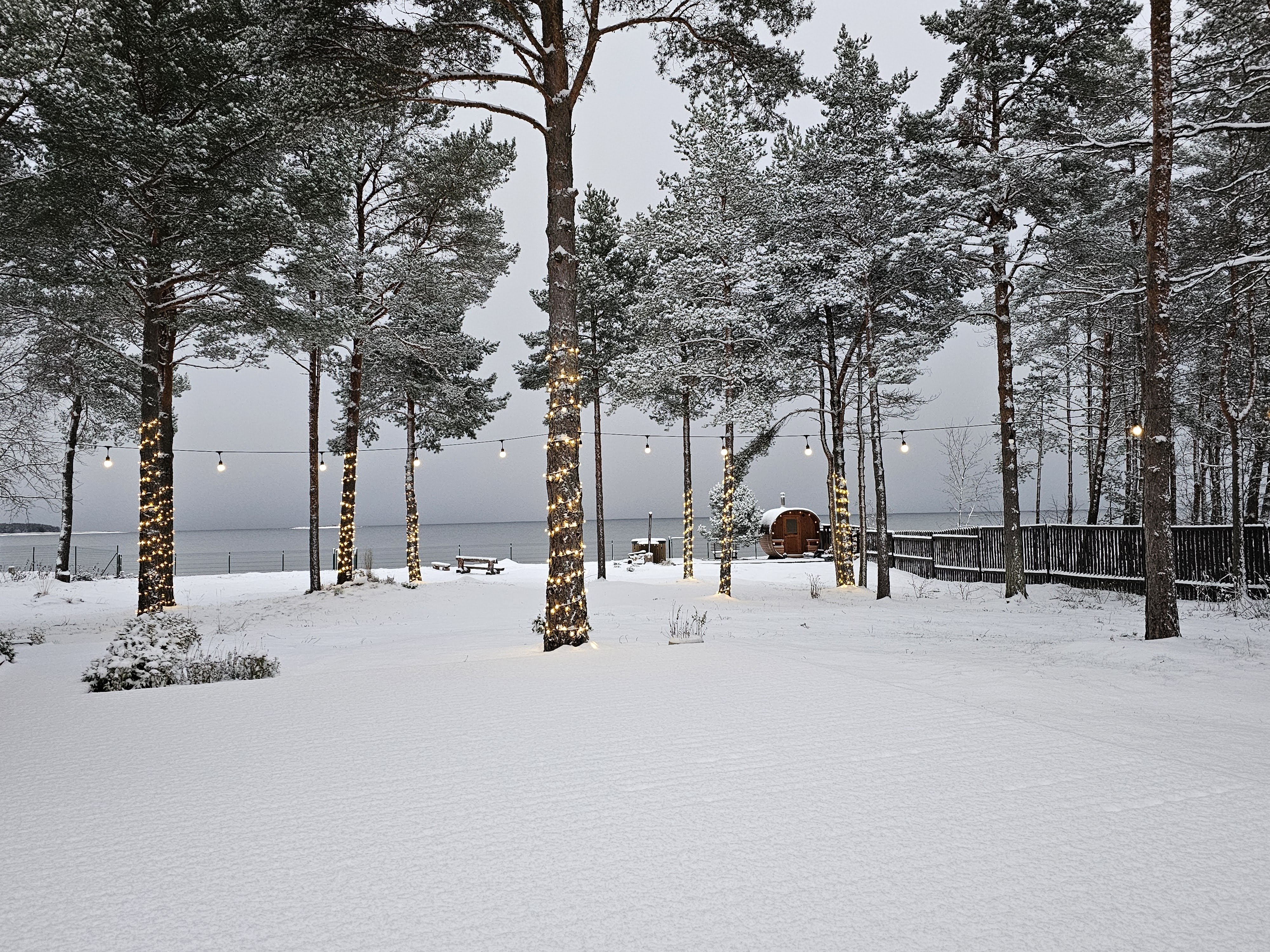 Talvine terrass, tünn ja saun + aastaringselt õhtuti/pimedas puudel romatilised lambikesed