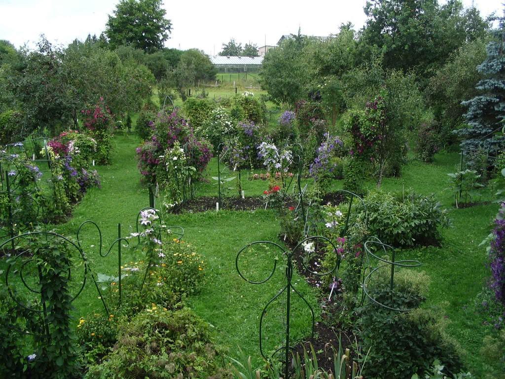 Roogoja elulõngad
