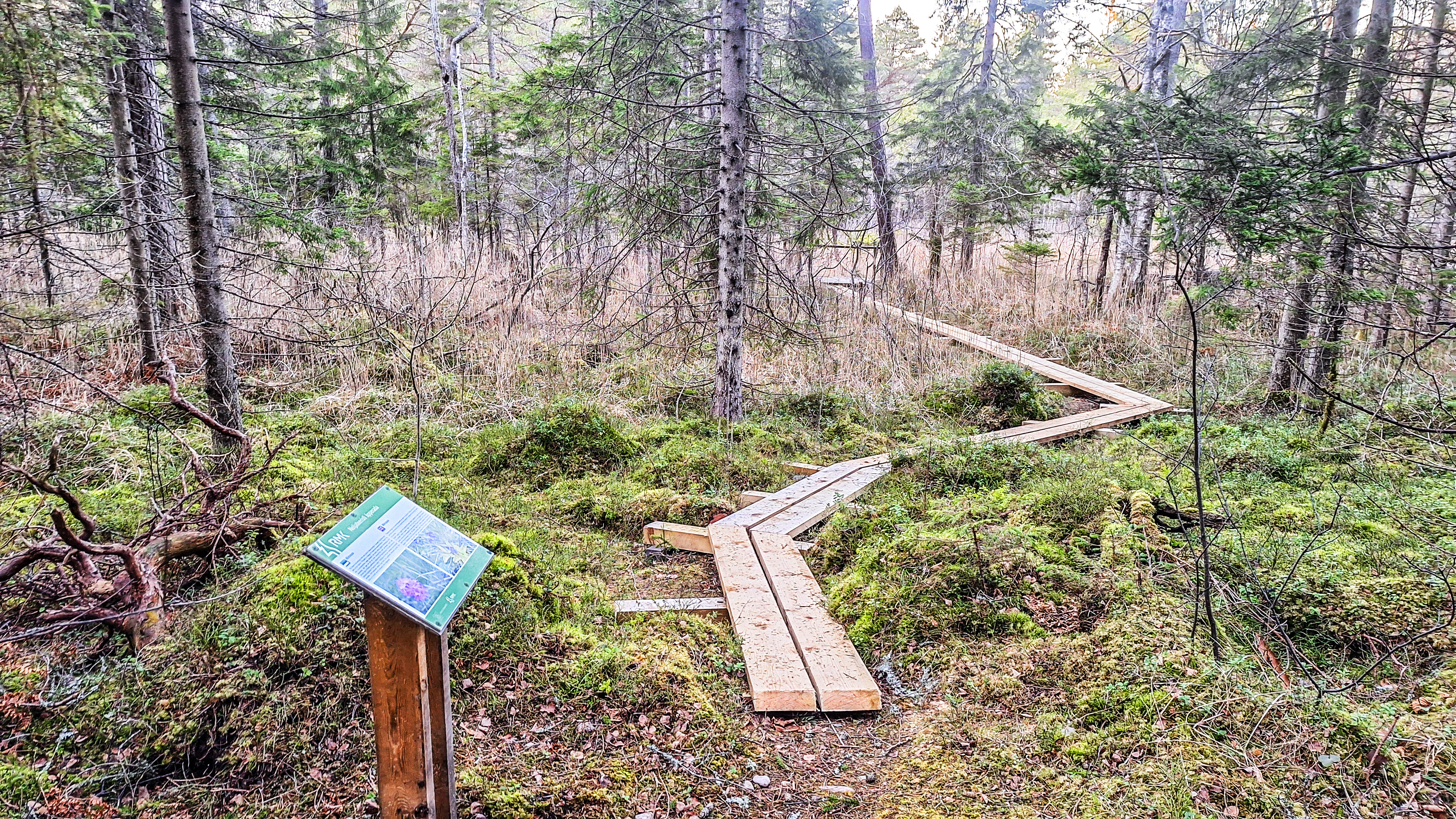 Neljateeristi õpperada