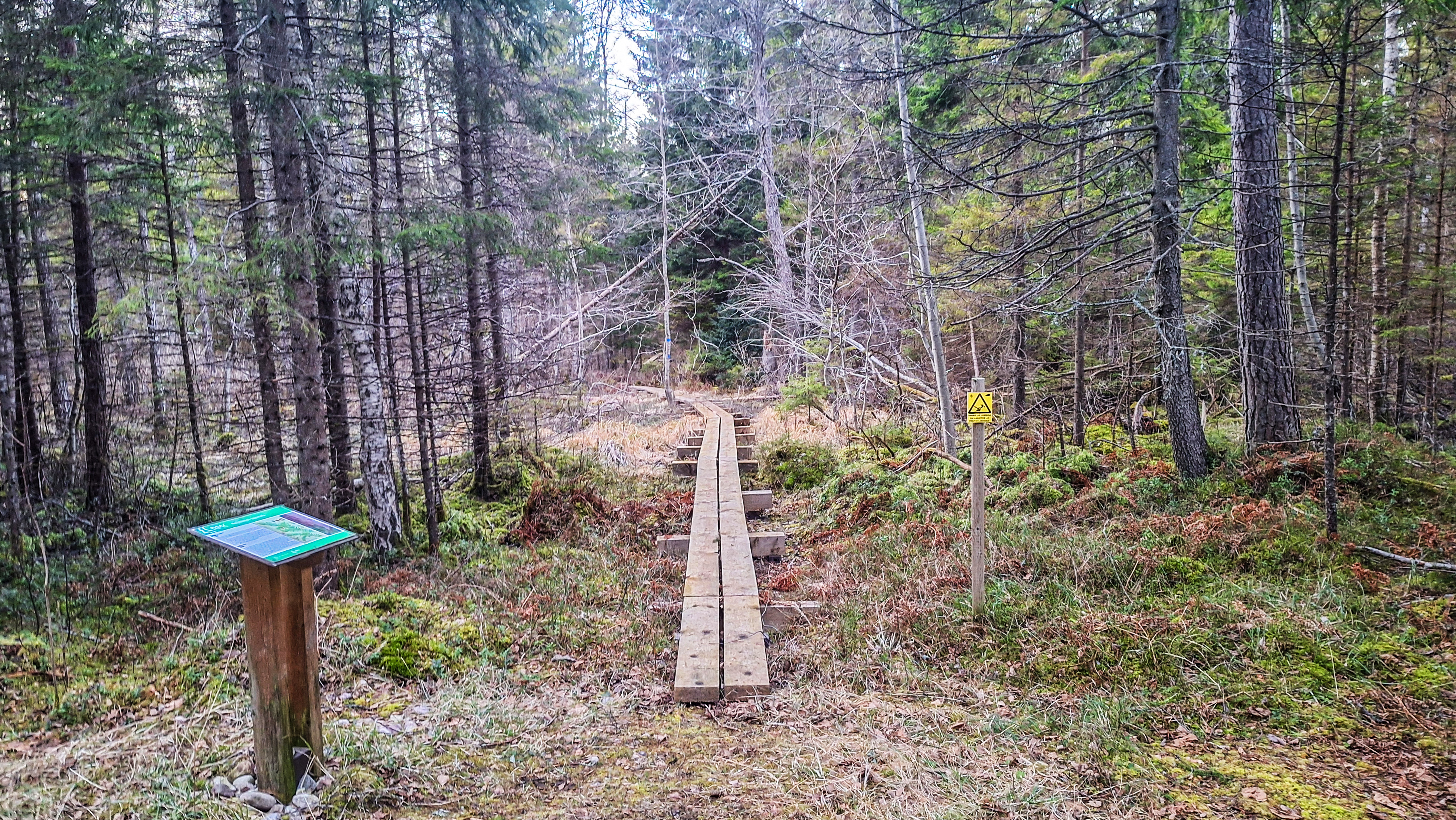 Neljateeristi õpperada