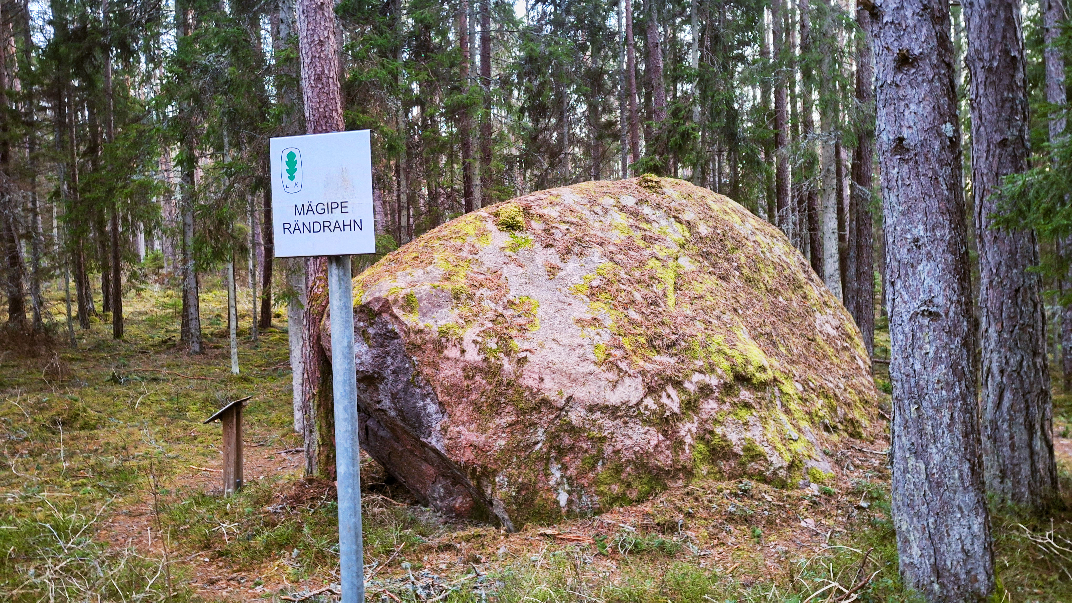 Mägipe rändrahn Neljateeristi õpperajal