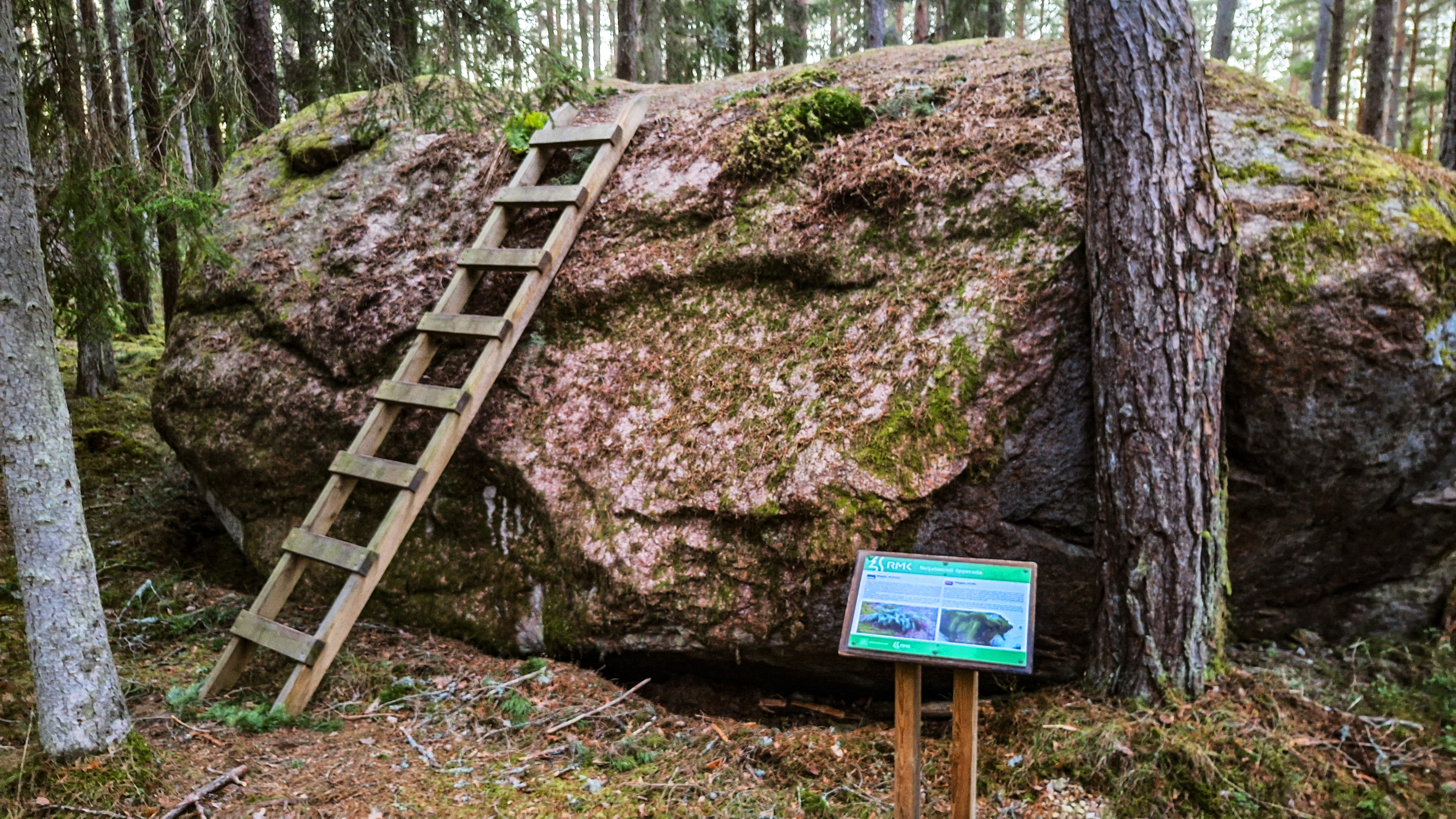 Mägipe rändrahn Neljateeristi õpperajal
