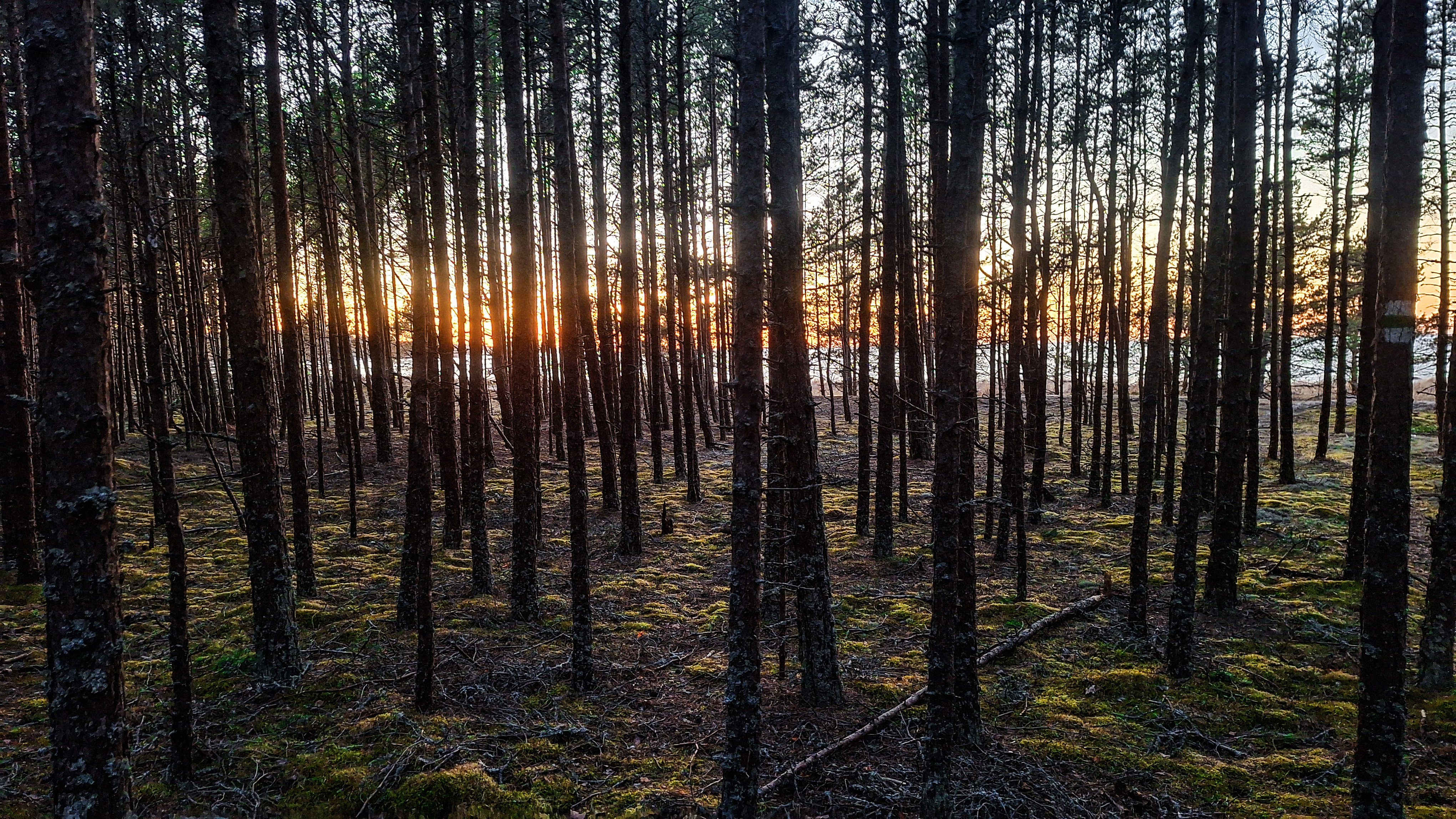 Päikseloojang Neljateeristi õpperajal