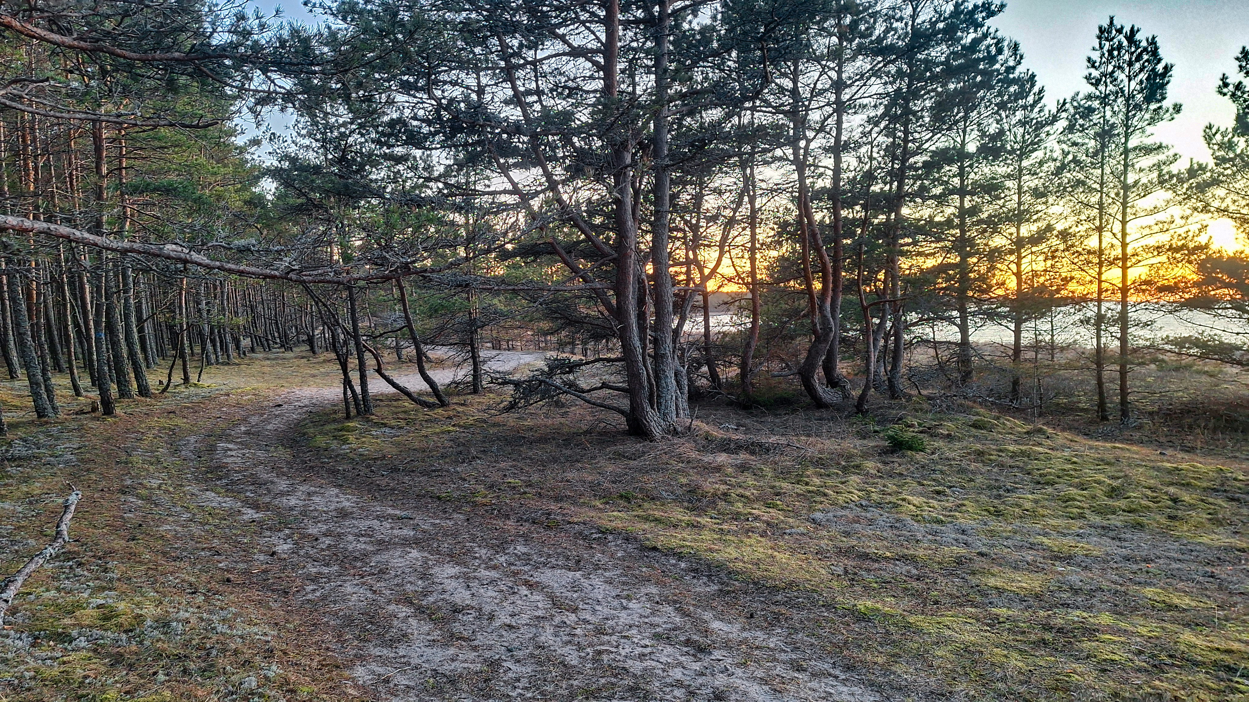 Päikseloojang Neljateeristi õpperajal