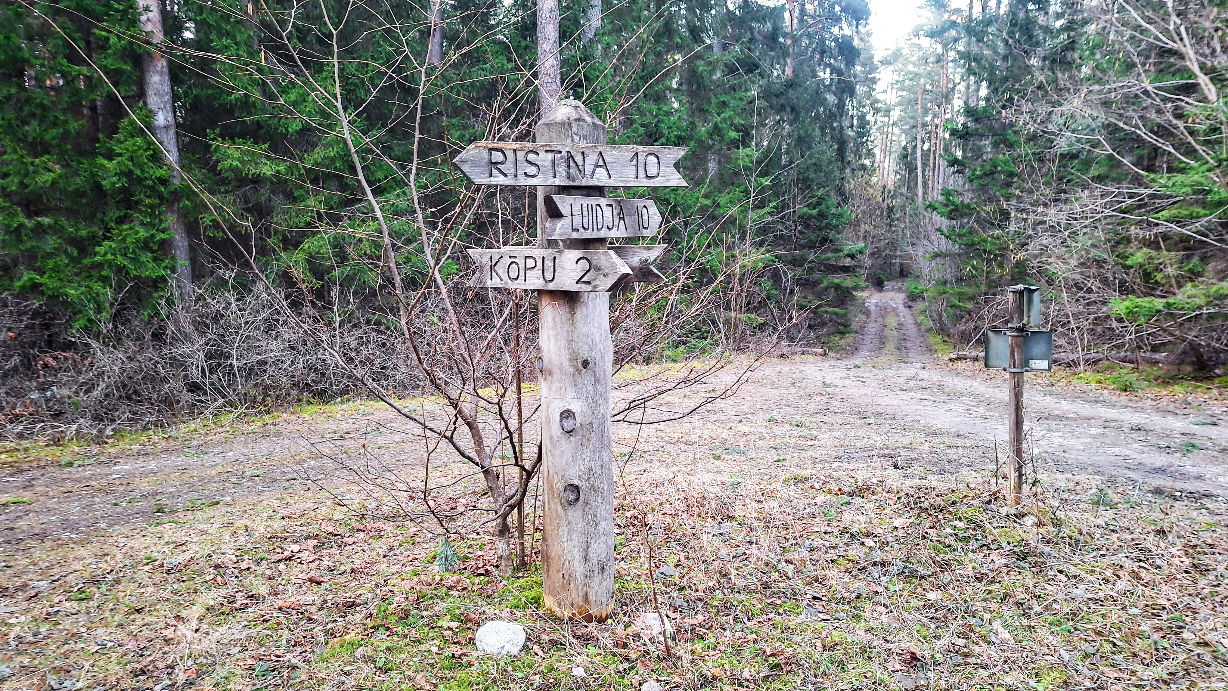 Neljateeristi õpperada