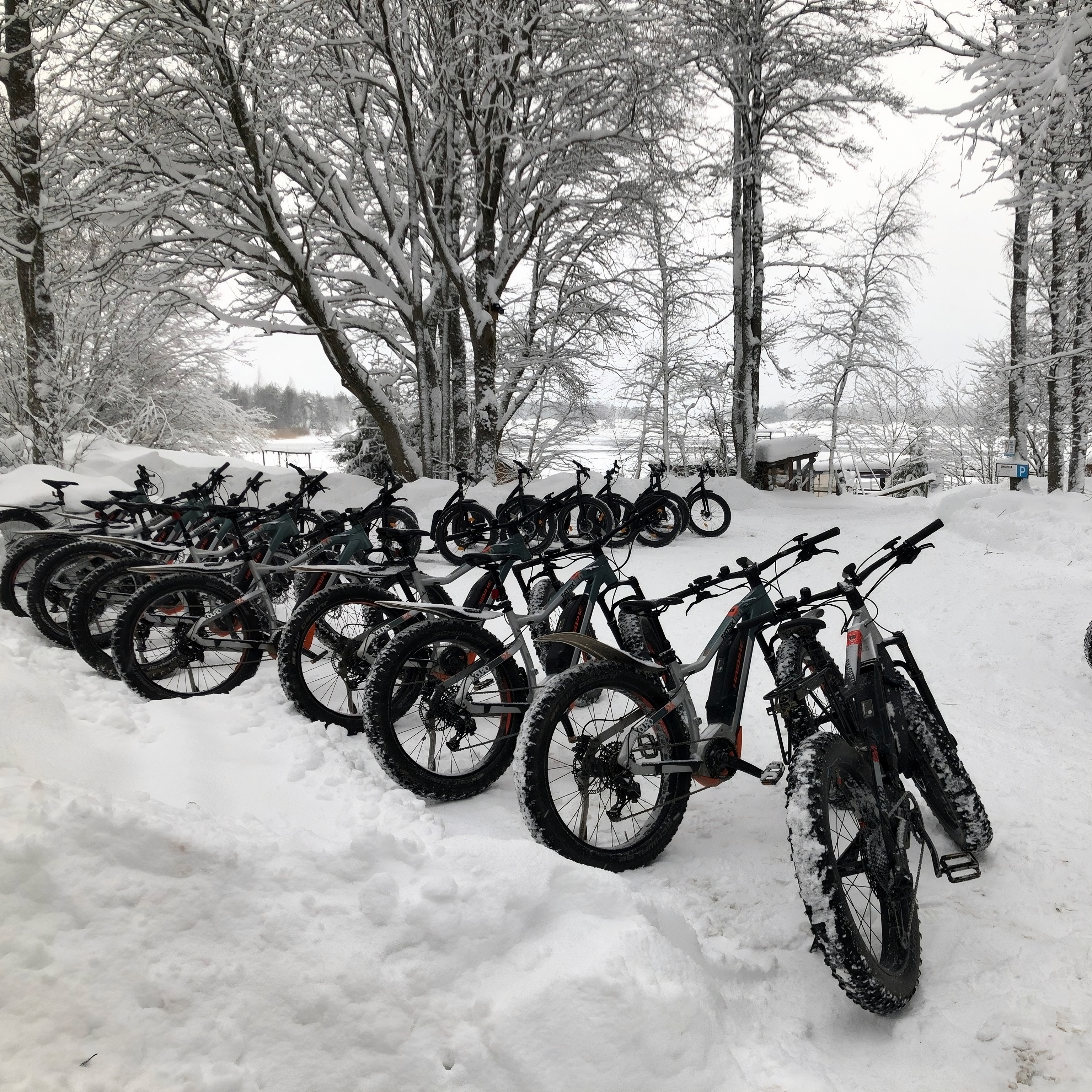 E-Bike Estonia tuur talvel